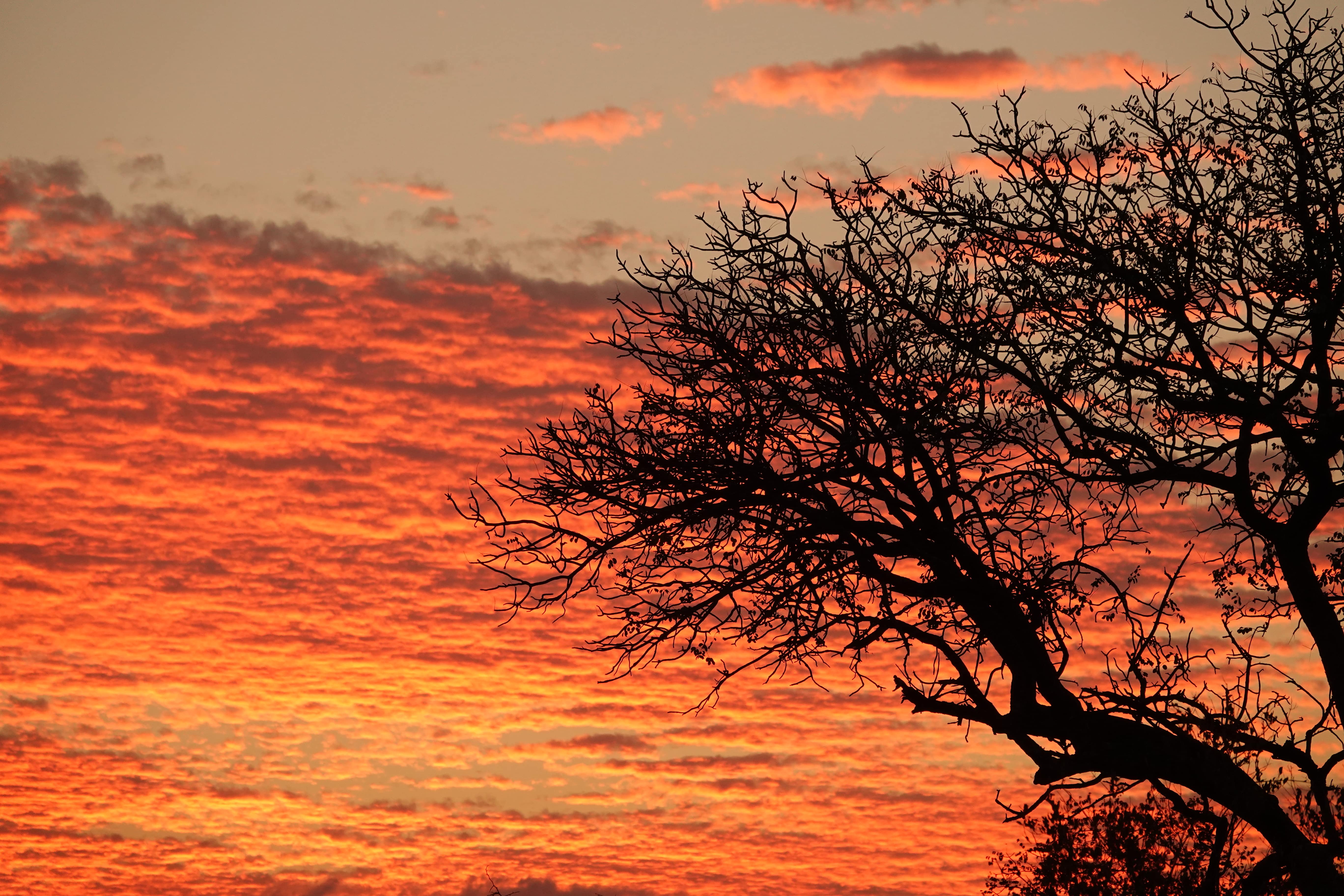 Sunset in the Kruger