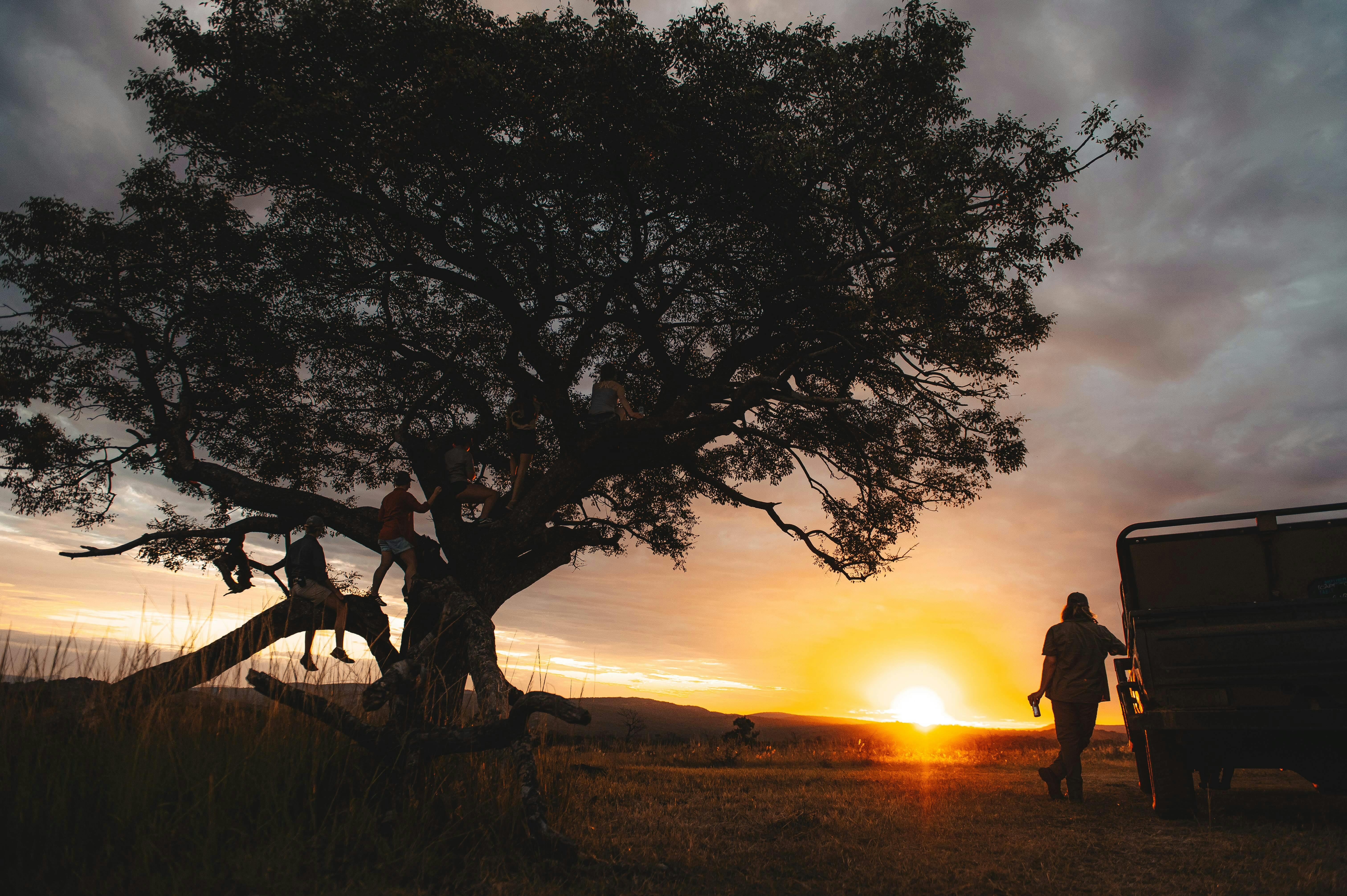 Group of ACE students relaxing beside a tree in the sunset