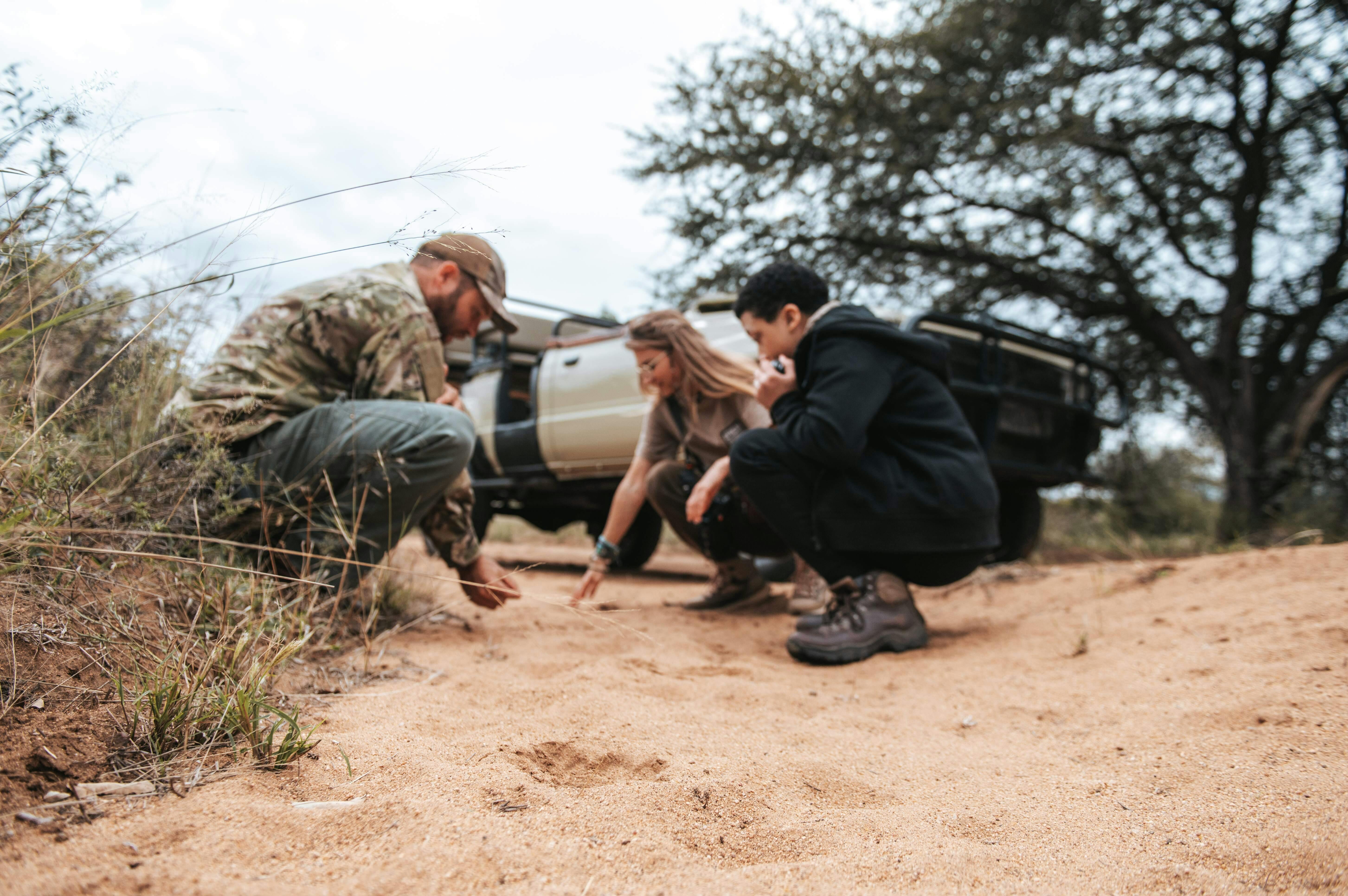 Group of ACE volunteers looking at tracks