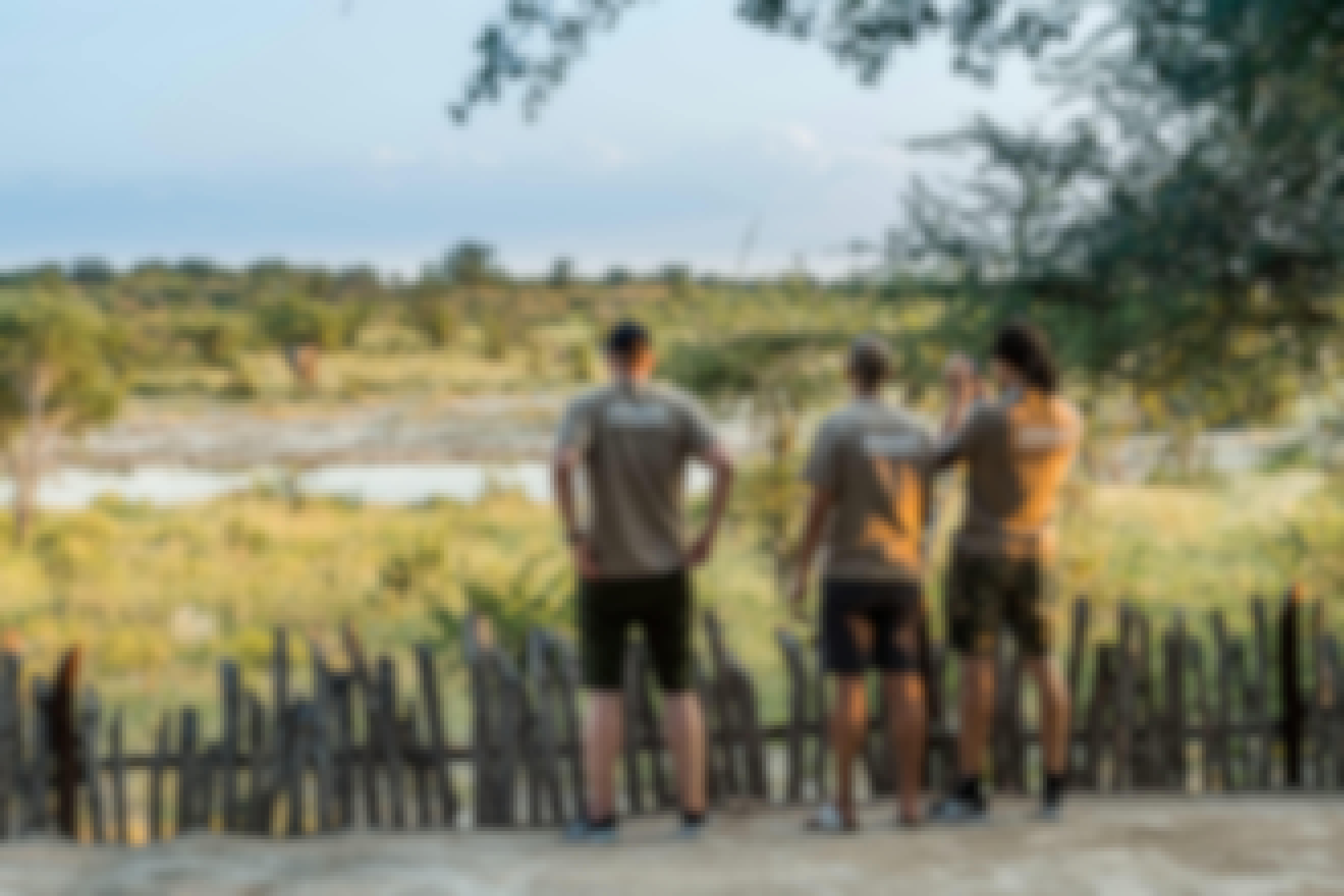 Group of ACE volunteers viewing elephants across the water from a safe distance