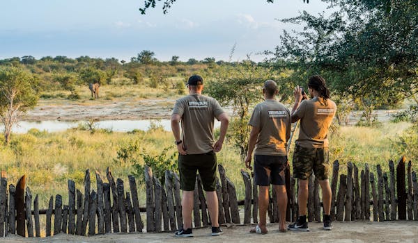 Group of ACE volunteers viewing elephants across the water from a safe distance