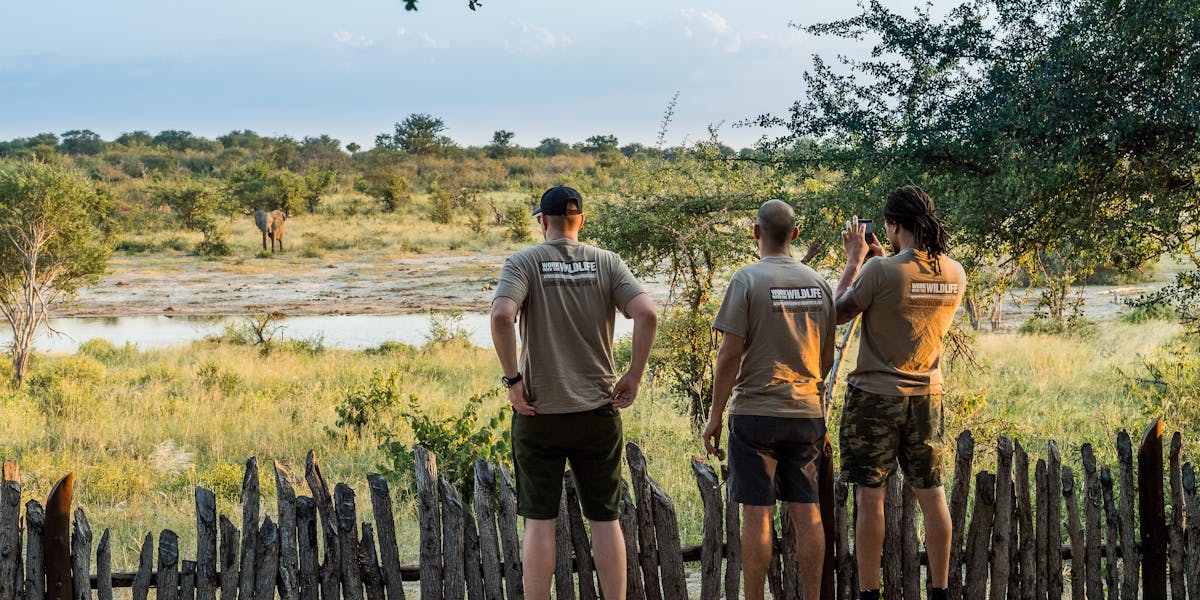 Group of ACE volunteers viewing elephants across the water from a safe distance