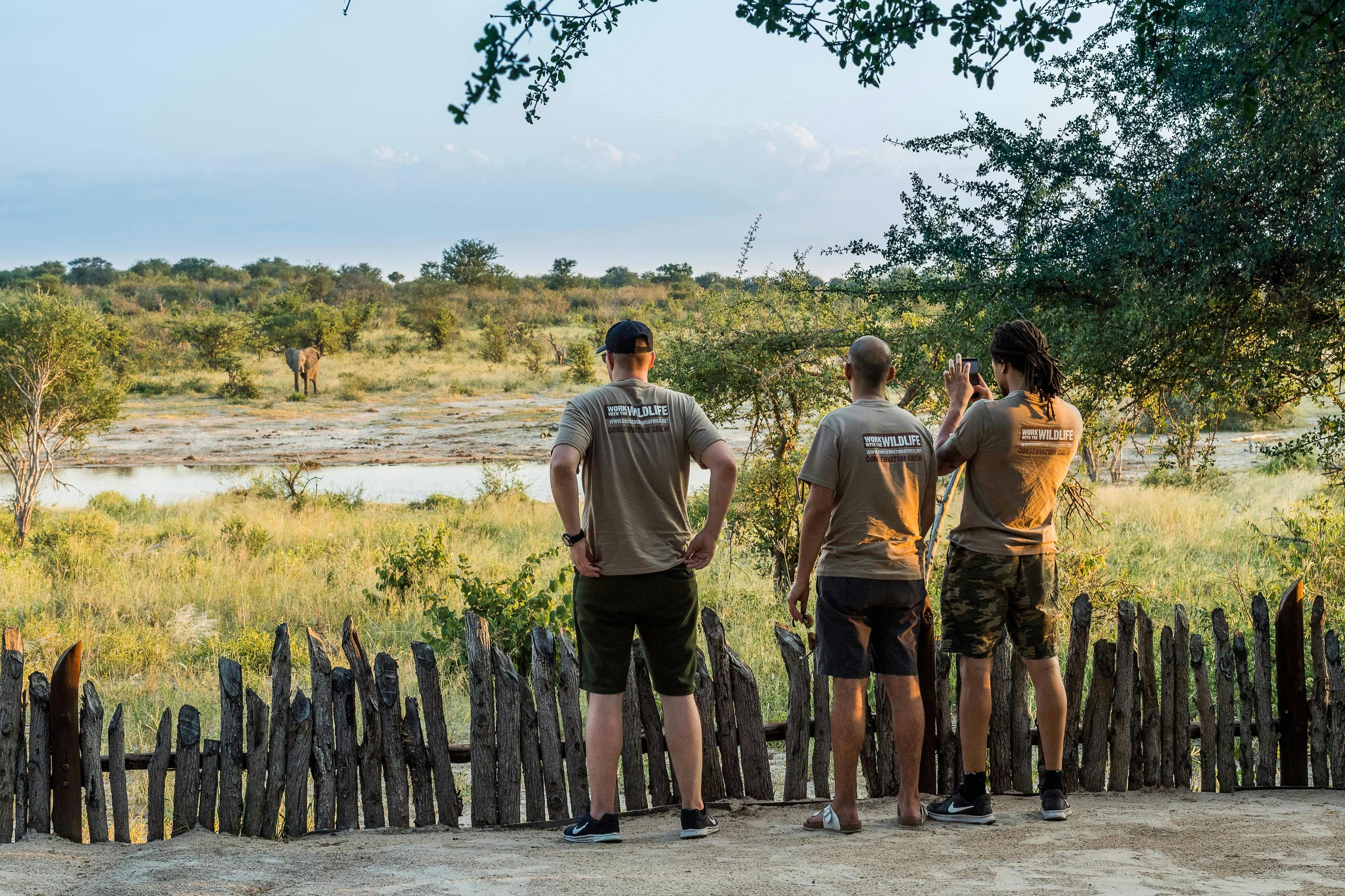 Group of ACE volunteers viewing elephants across the water from a safe distance