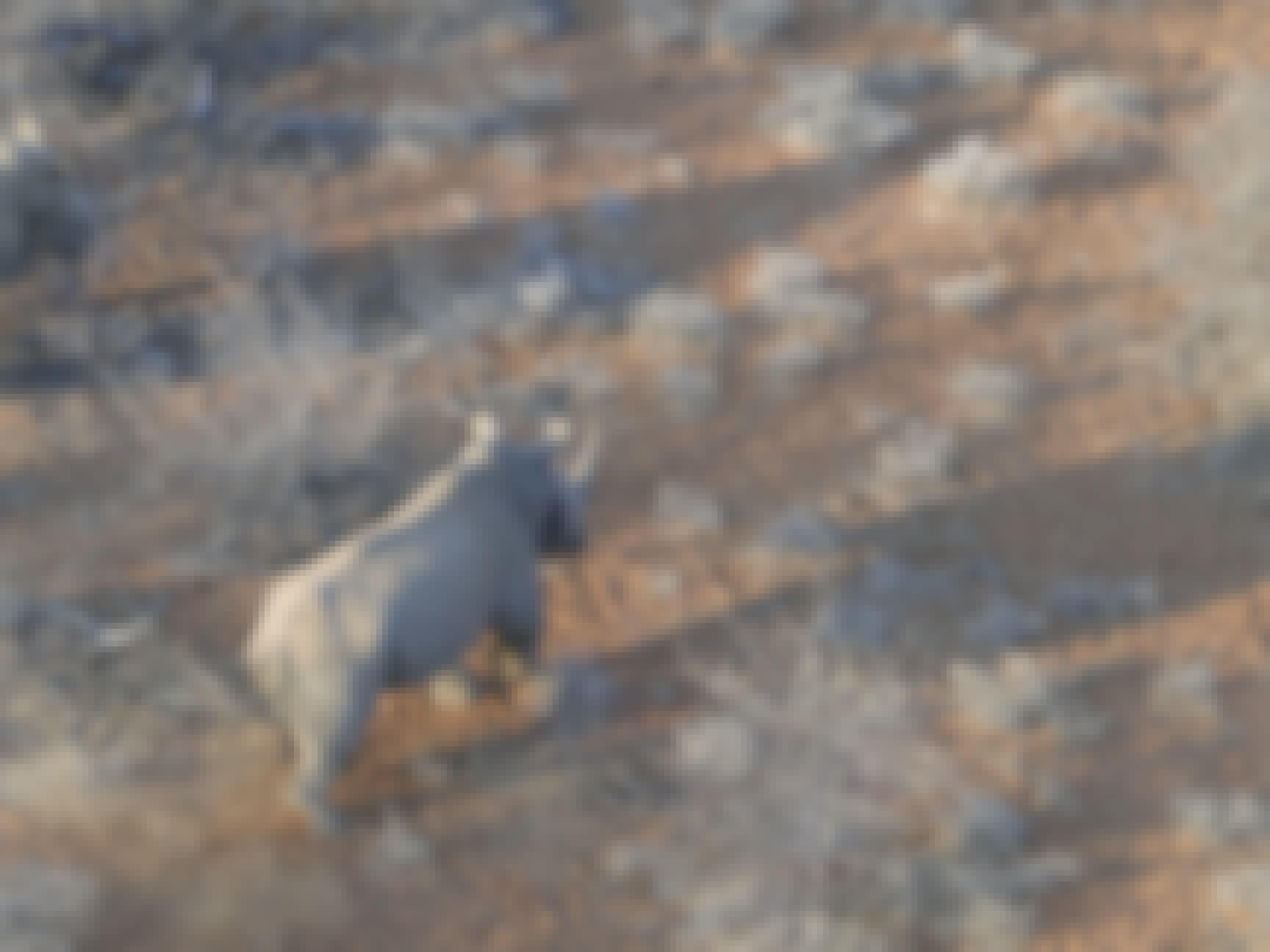 Aerial shot of two rhinos