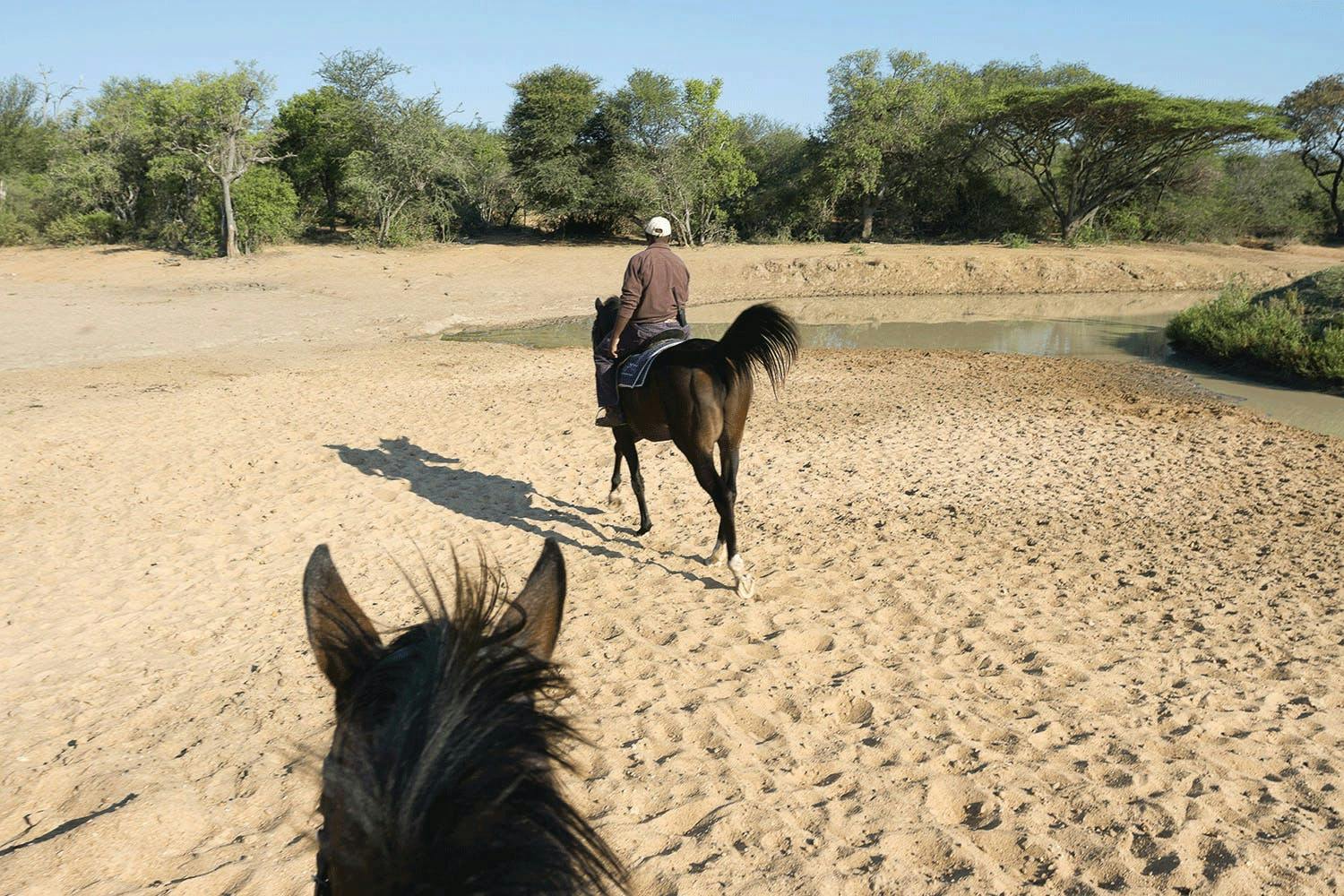 View from the back of a horse on the Hanchi Horseback Expeerience