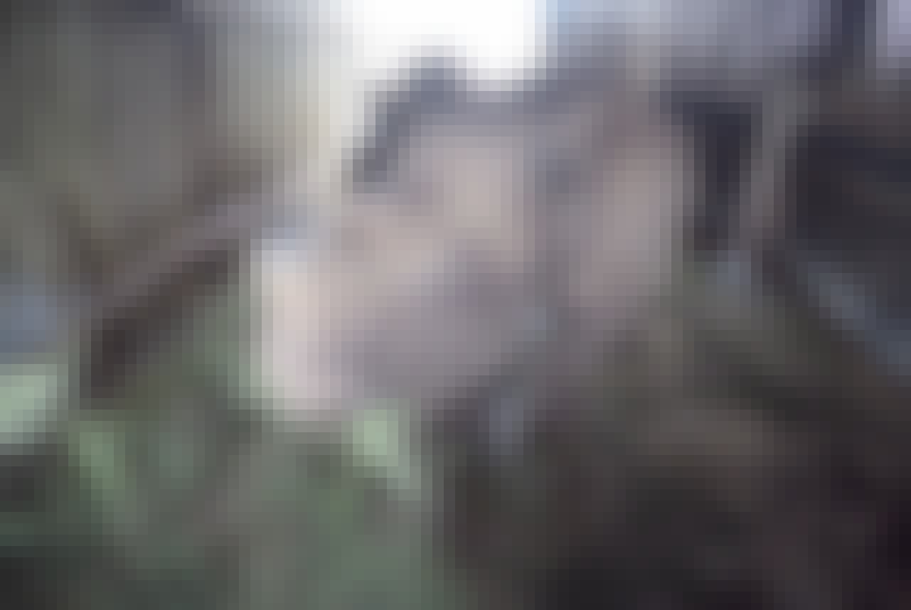 Close-up of a rhino feeding in a rehabilitation centre