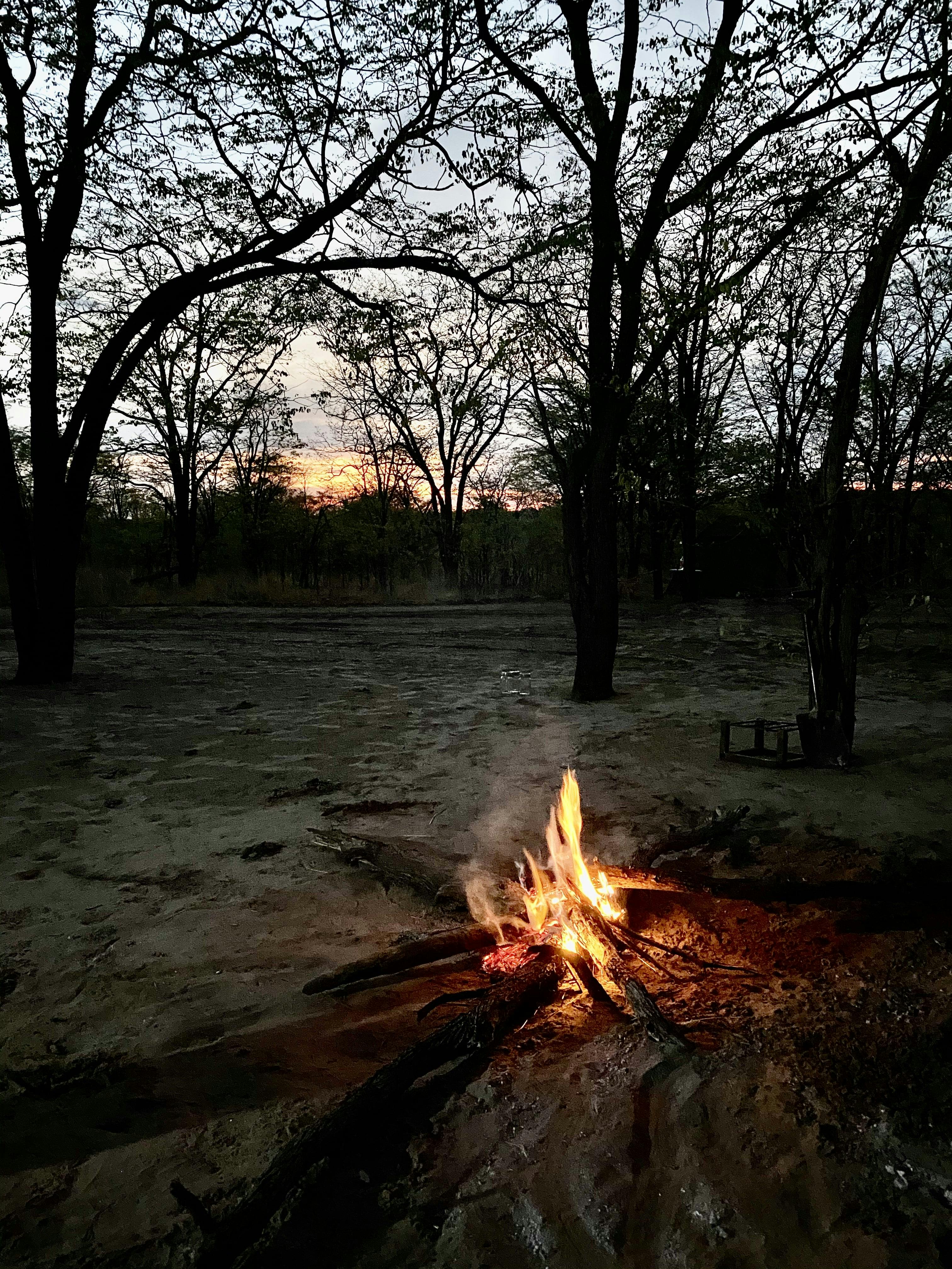 Campfire at night