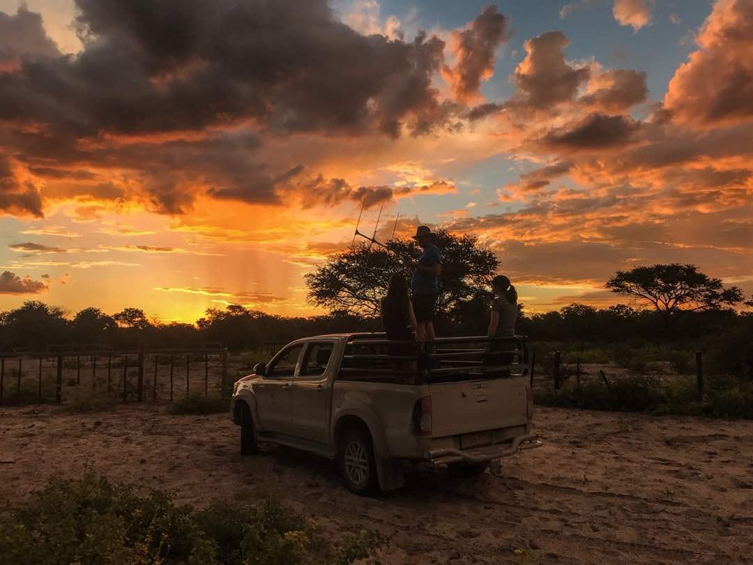 Group of ACE volunteers sitting on a vehicle with telemetry equipment, watching the sunset