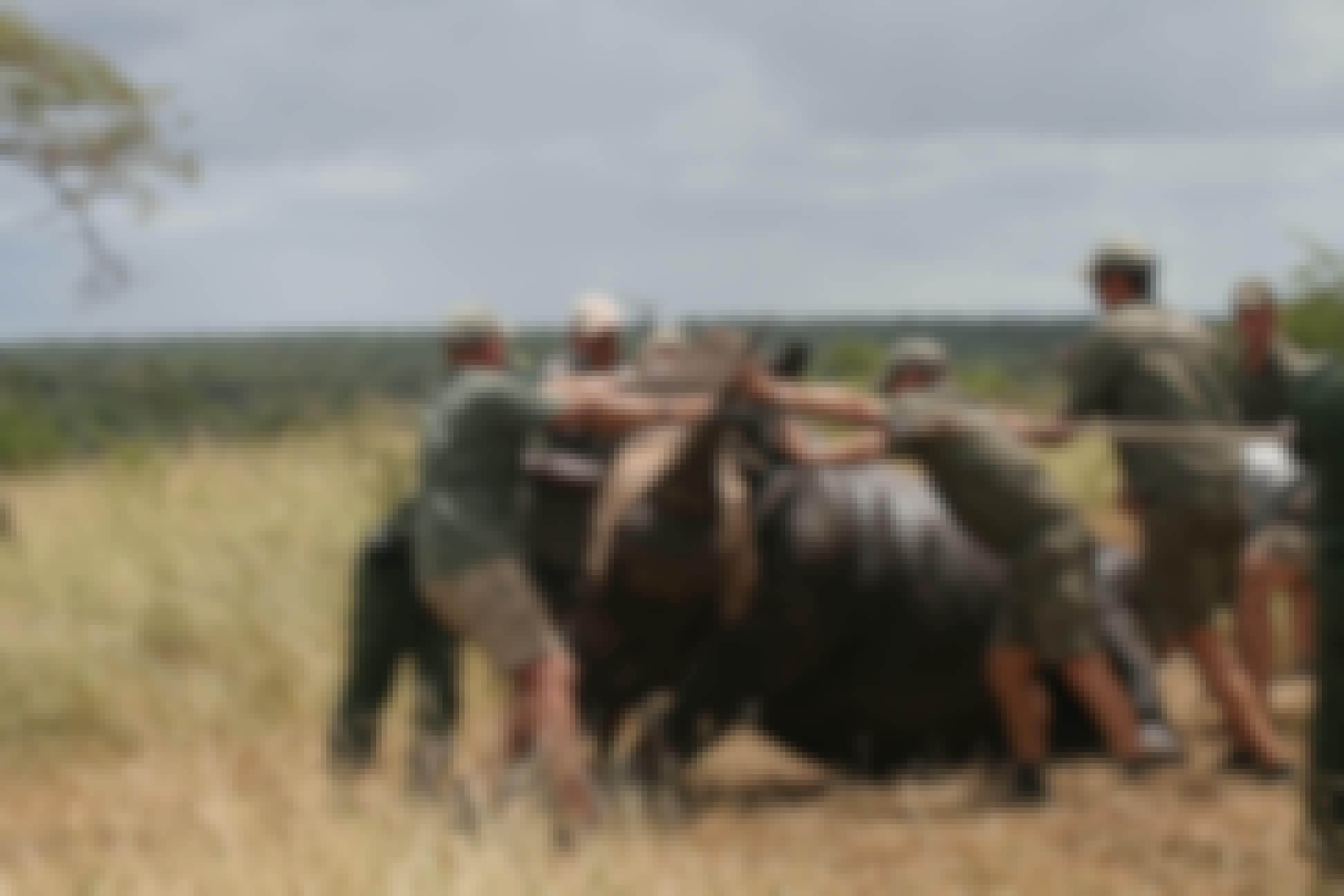 ACE volunteers and professionals at Phinda, rhino capture and relocation