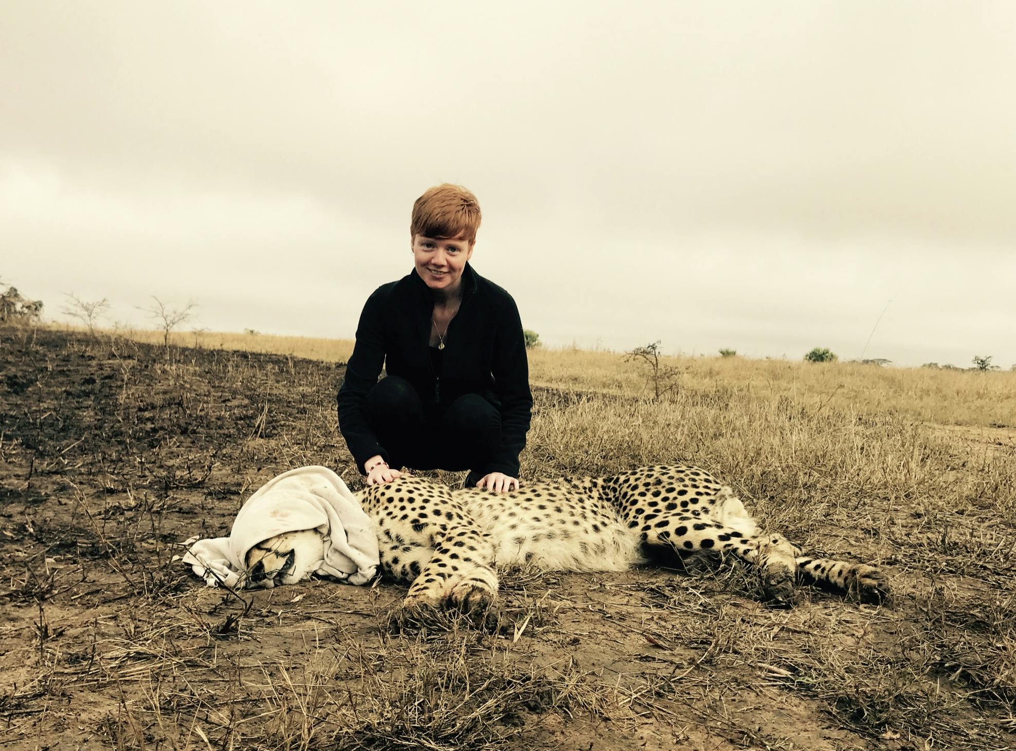 Jessica Gunn with a sedated leopard