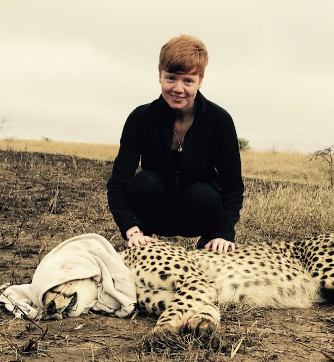 Jessica Gunn with a sedated leopard