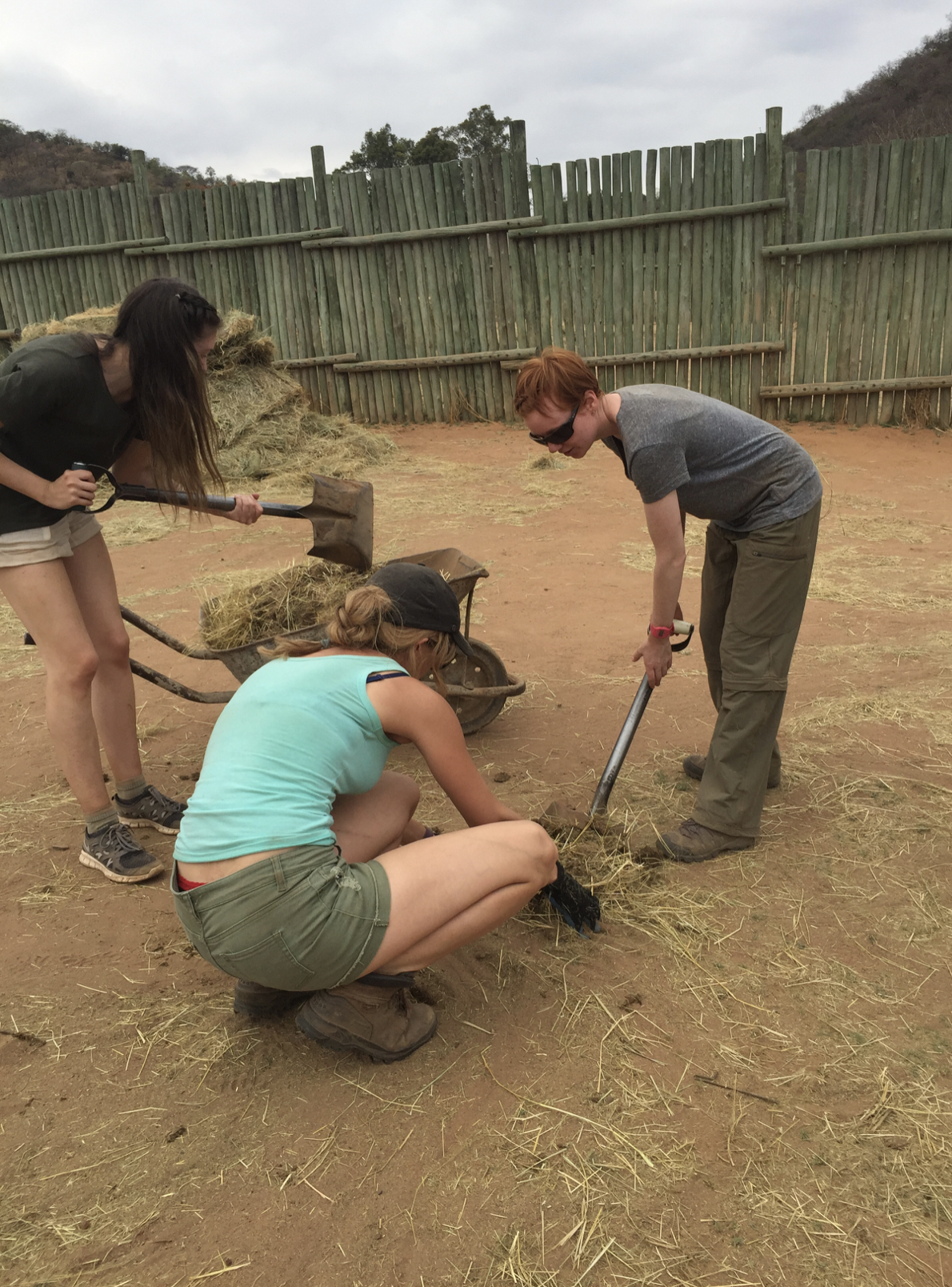 Jessica Gunn mucking out