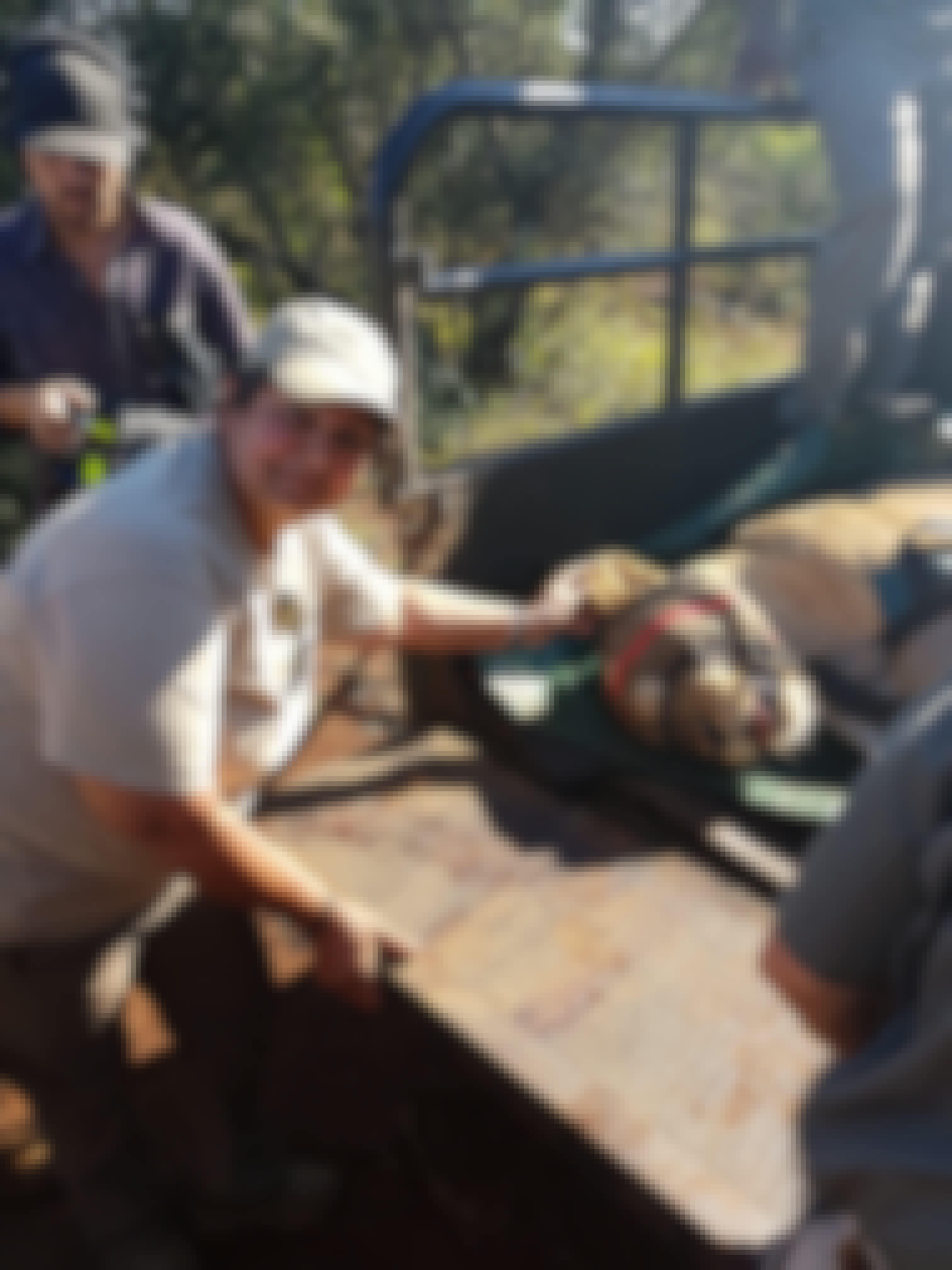 Jennifer Goodley with a sedated lion