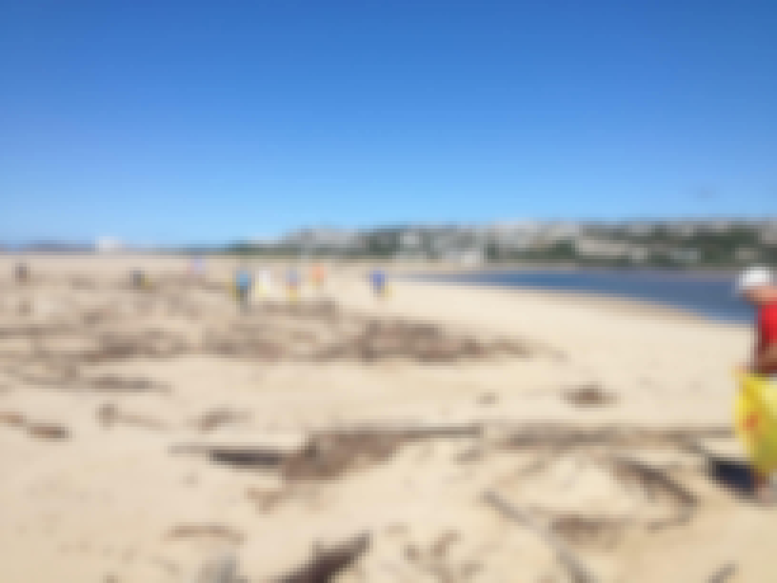Group of students cleaning up the beach
