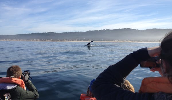 Group of students spotting a whale