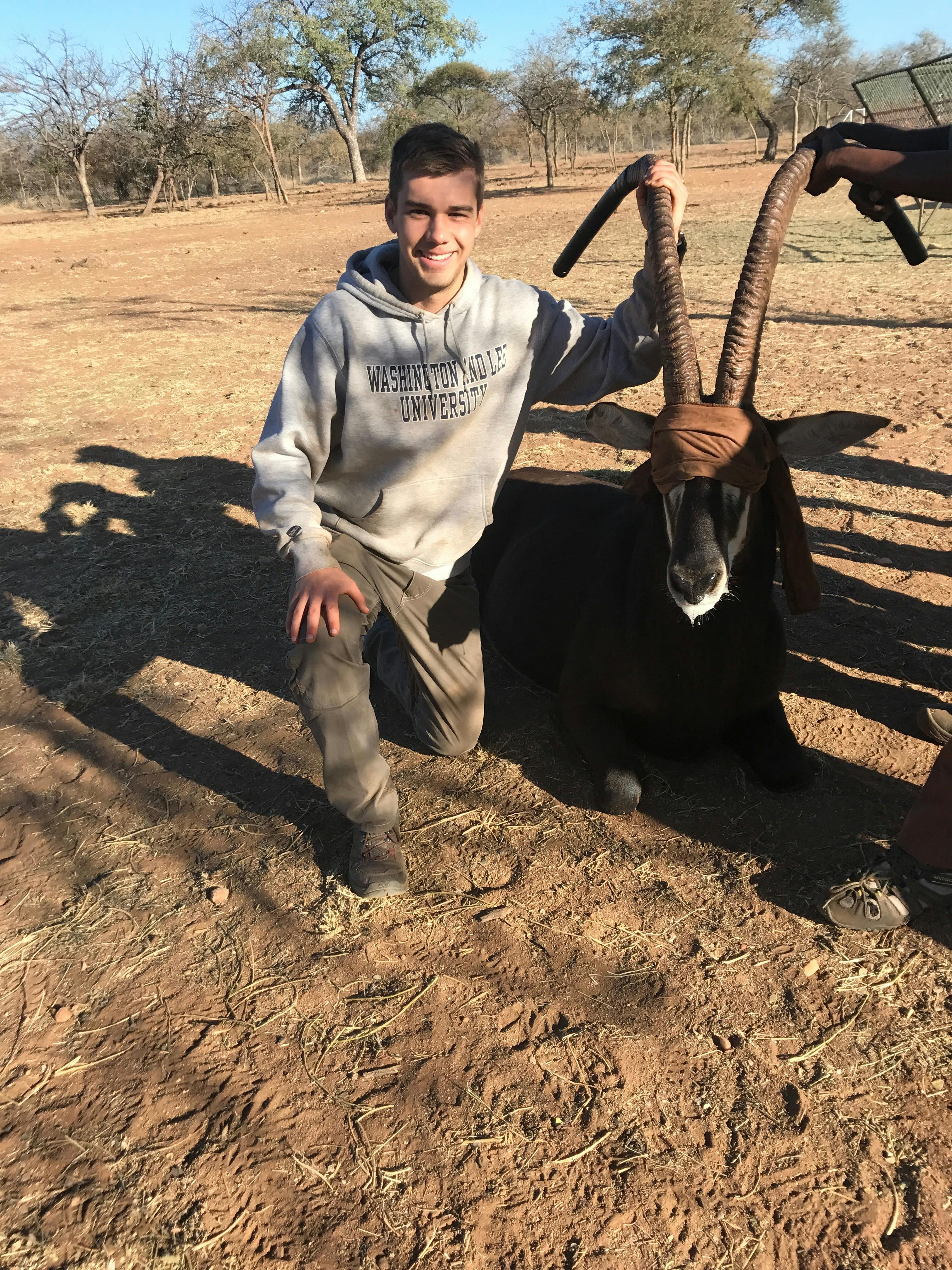 Jack Miller with a sedated antelope