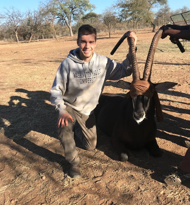 Jack Miller with a sedated antelope