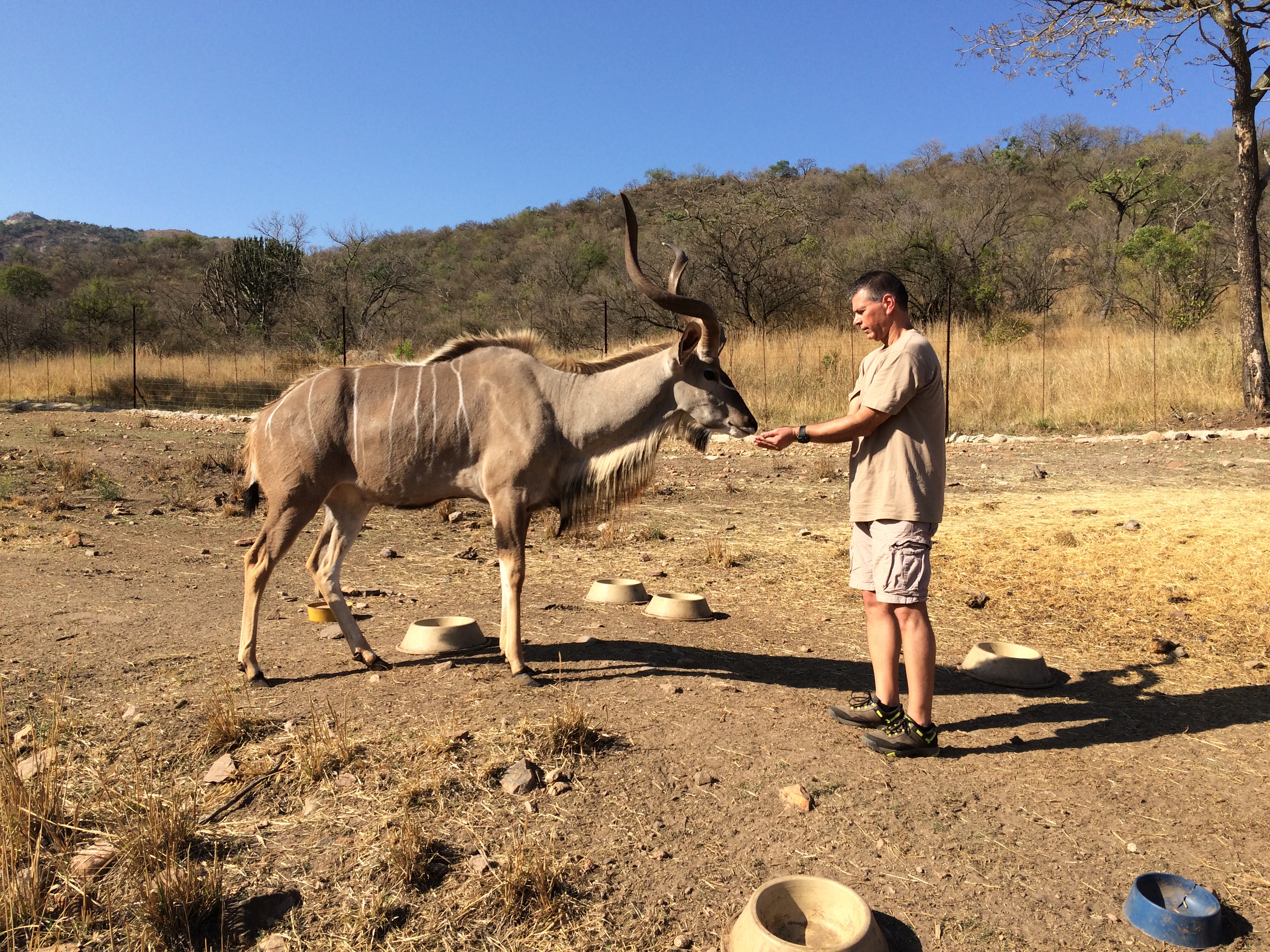 Louis J Grittani with antelope