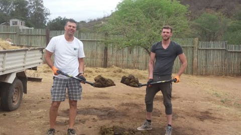 Louis J Grittani mucking out