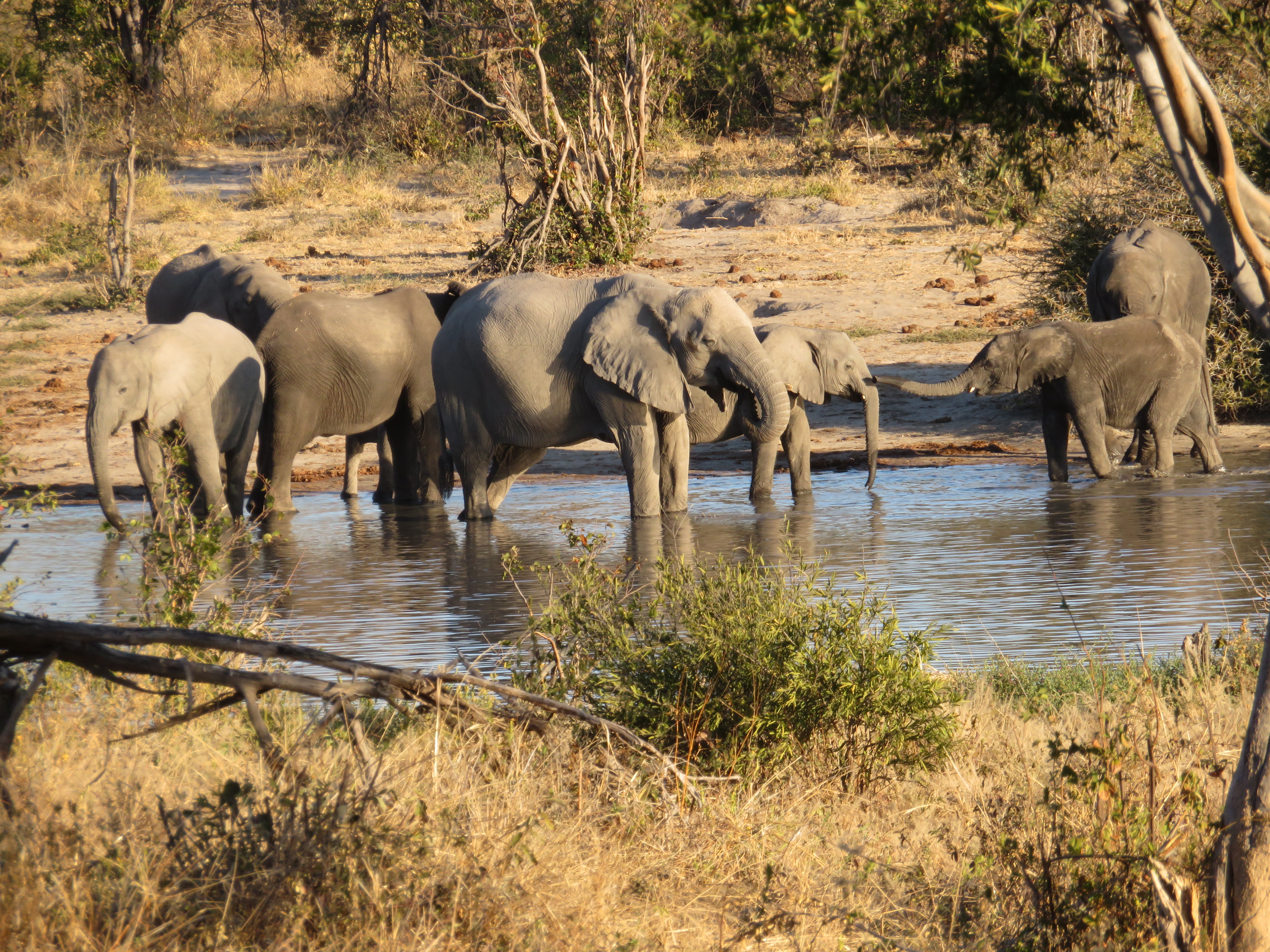Frances Brindle Testimonial Photo