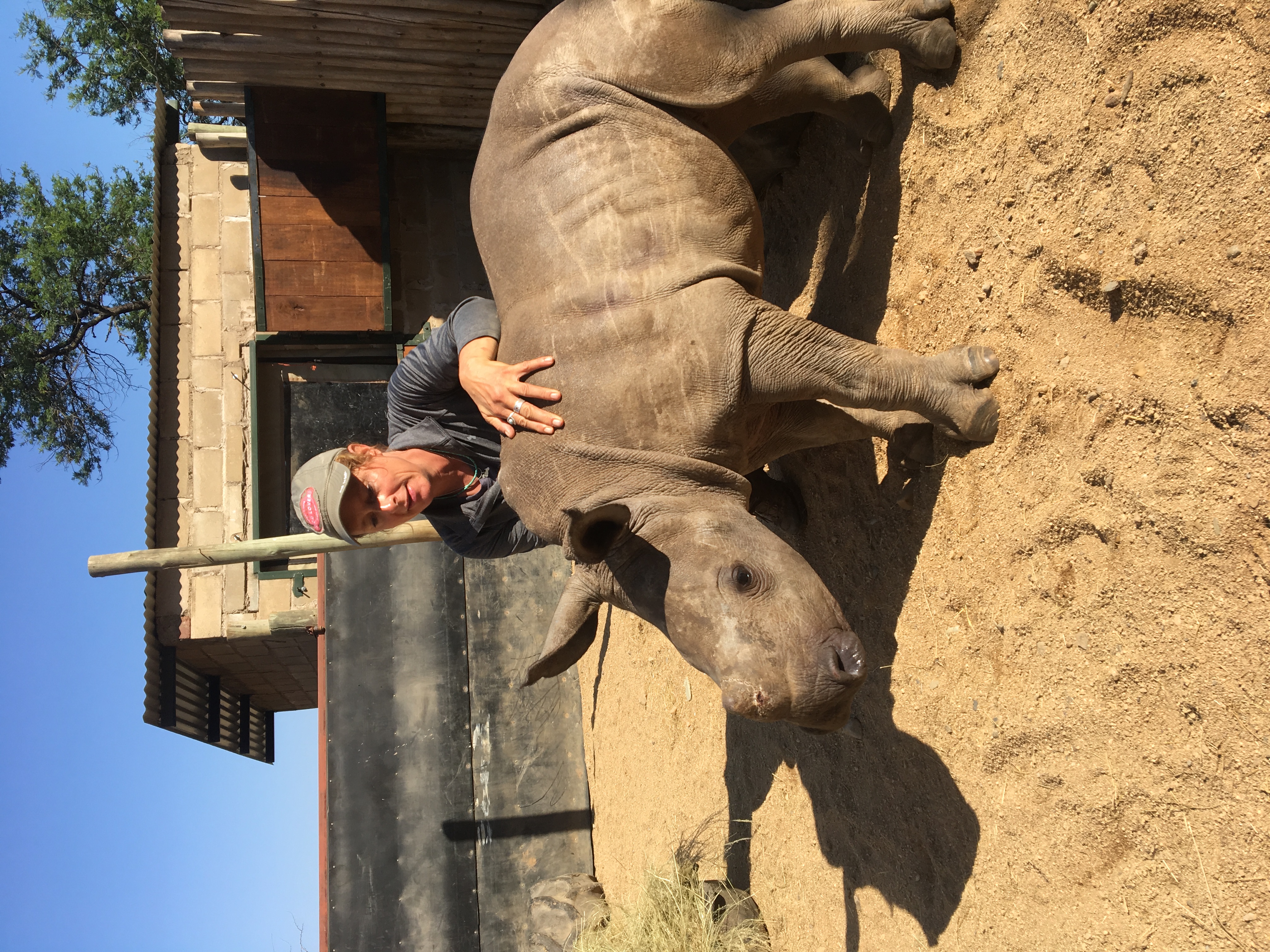 Diana DeBlanc with a rhino at Care for Wild