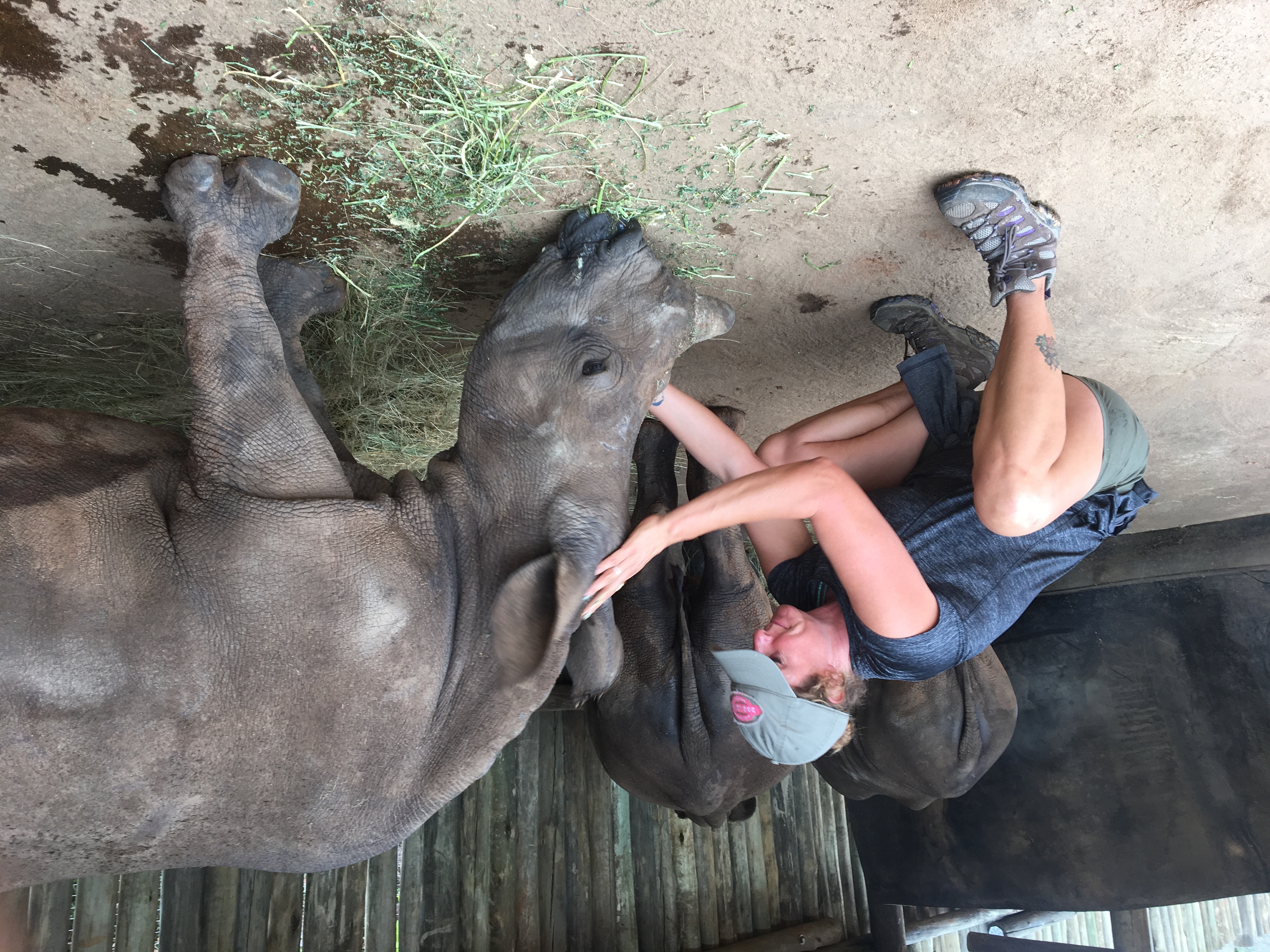 Diana DeBlanc with a rhino at Care for Wild
