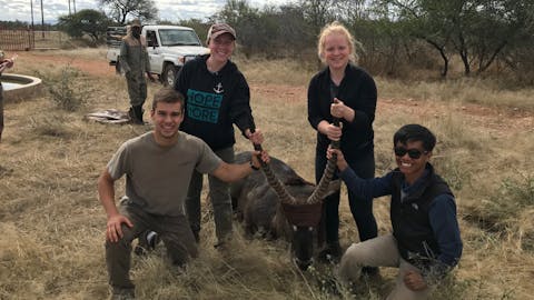 Jack Miller with a sedated antelope