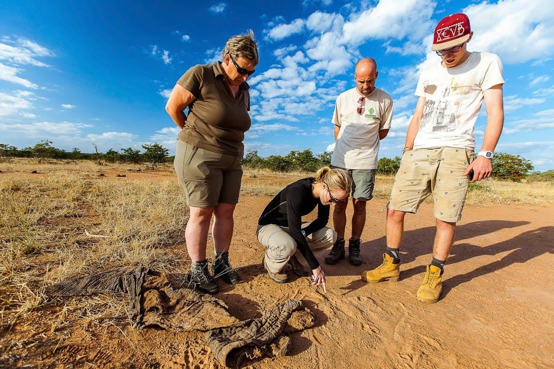 A group of ACE volunteers inspect tracks left by wildlife