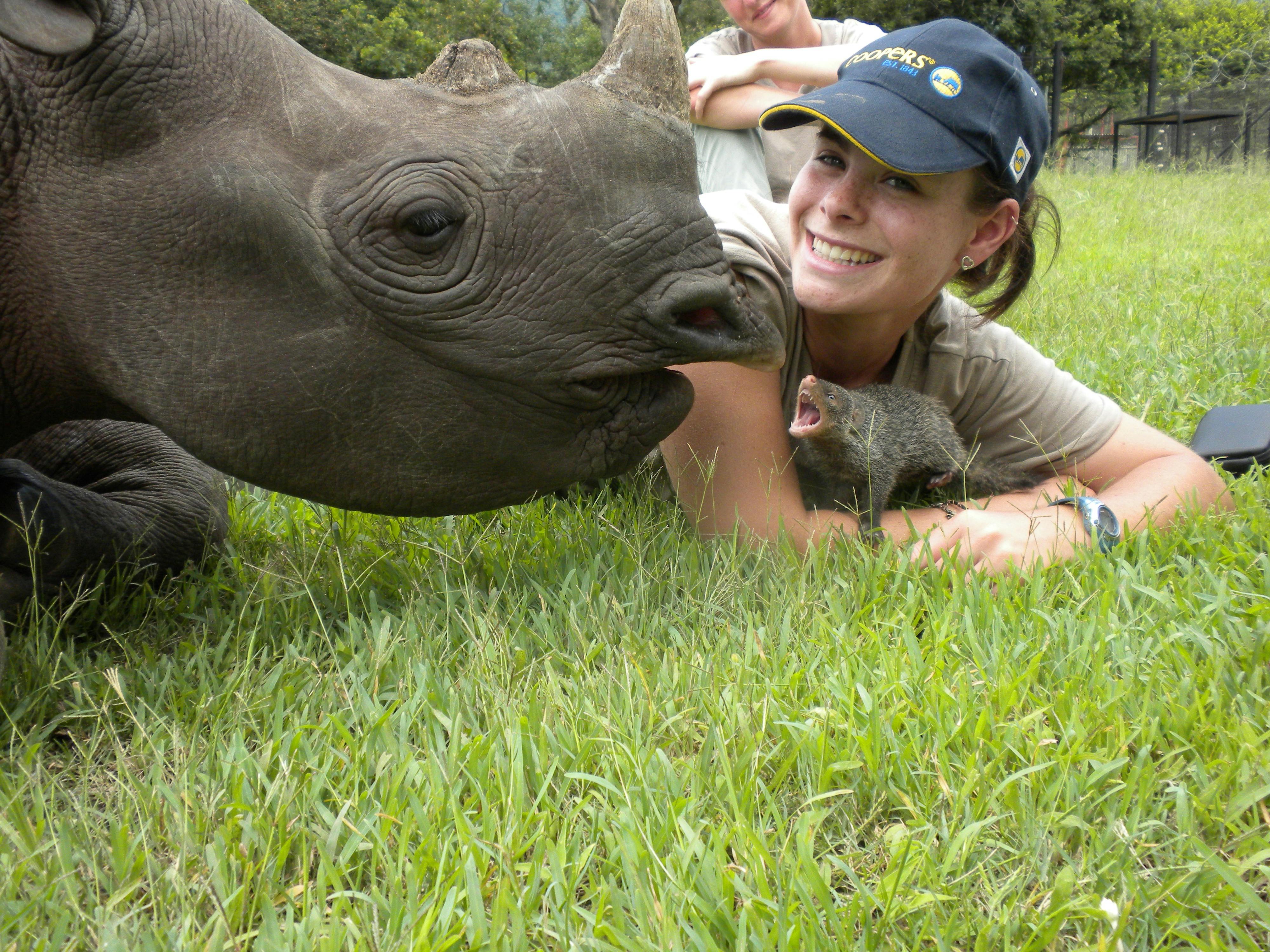 An ACE volunteer with a mongoose lying down next to a Rhino in grass
