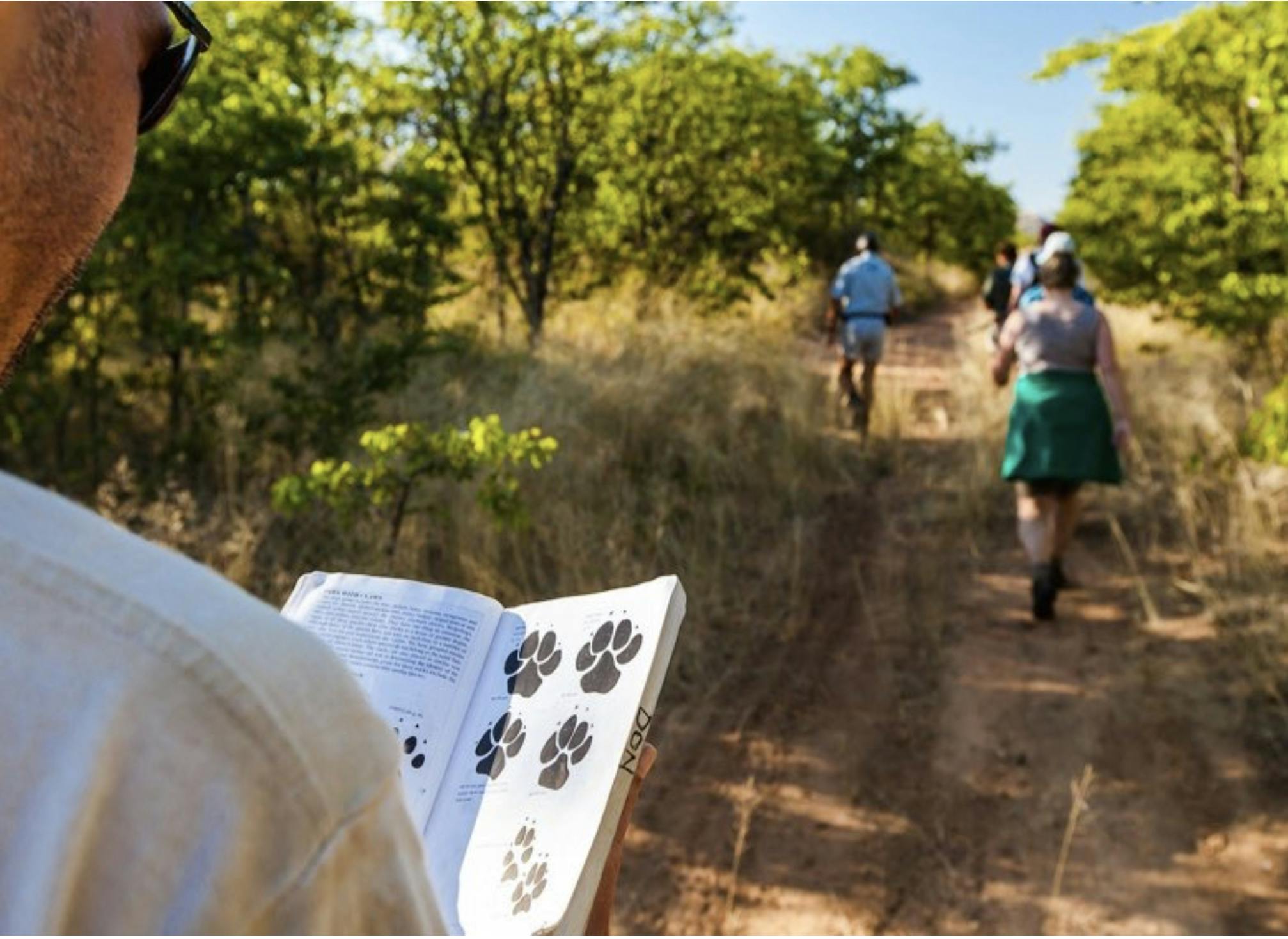 A group of ACE volunteers learning about tracking in the African bush
