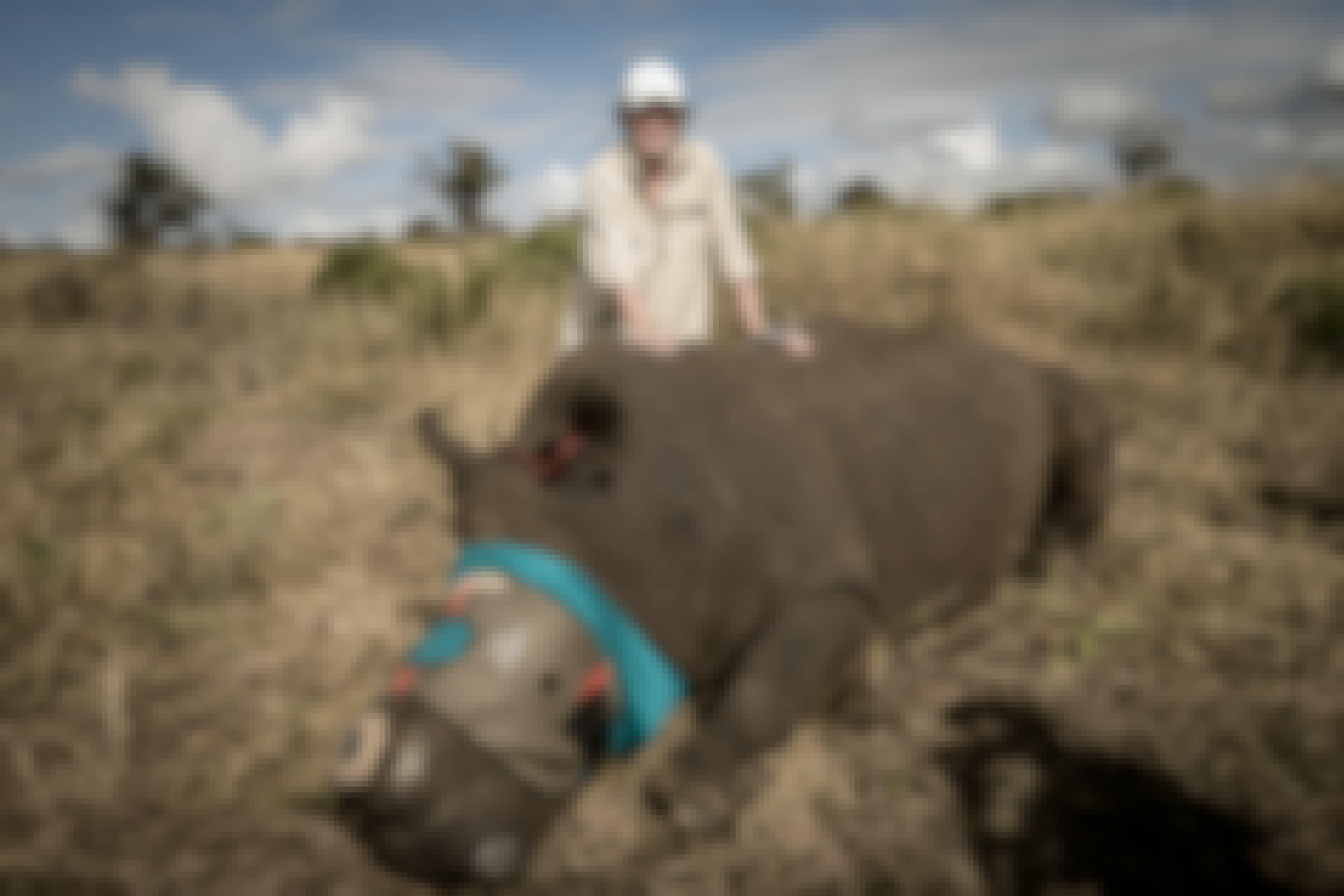 Connor McLead with a sedated Rhino at Phinda