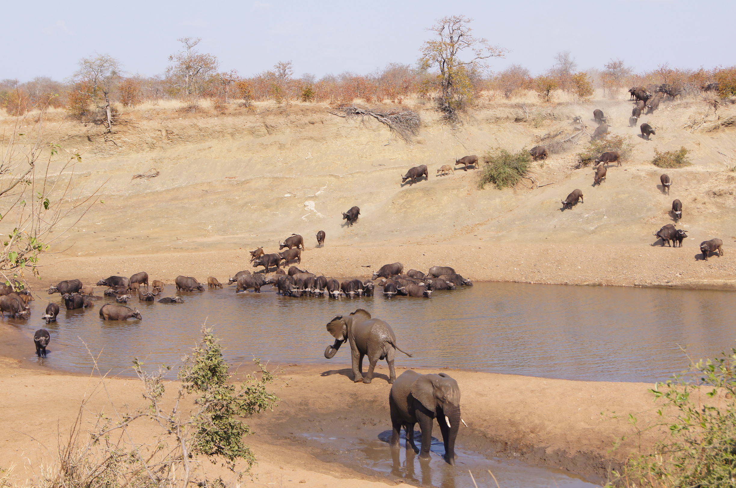 Amanda Barbosa Review Photo