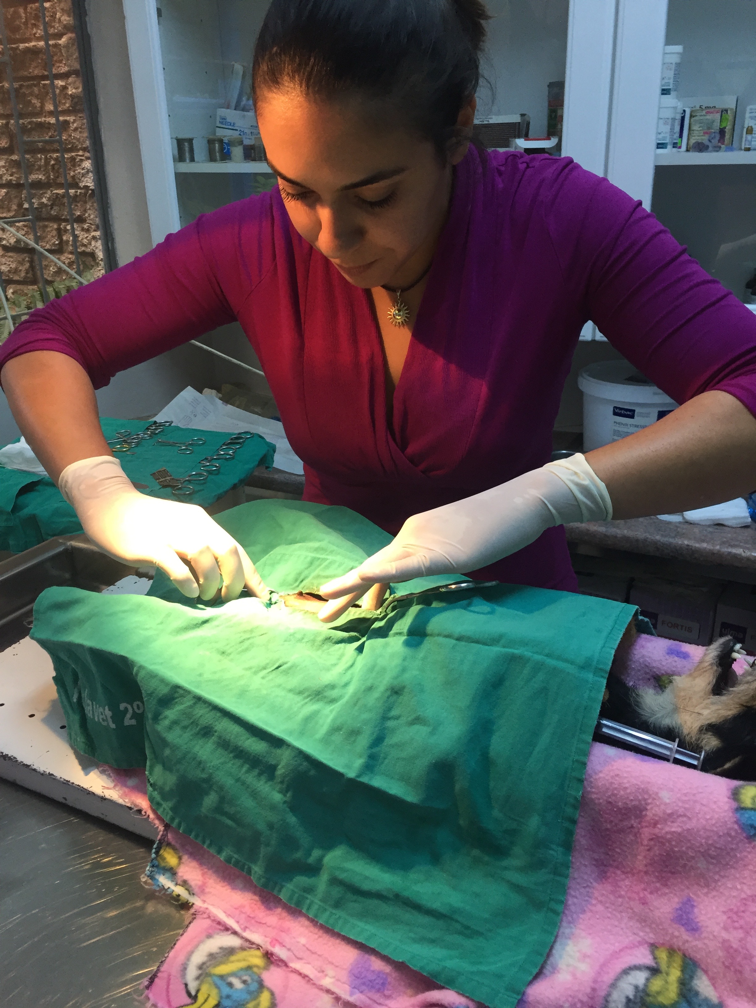 Amanda Barbosa Review Photo