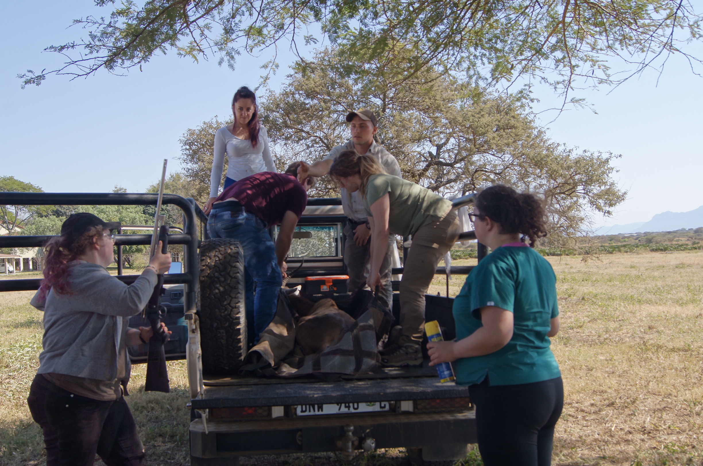 Amanda Barbosa Review Photo