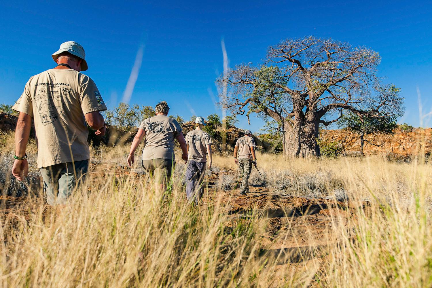 A group of ACE volunteers hiking through the bush past a Baobab tree