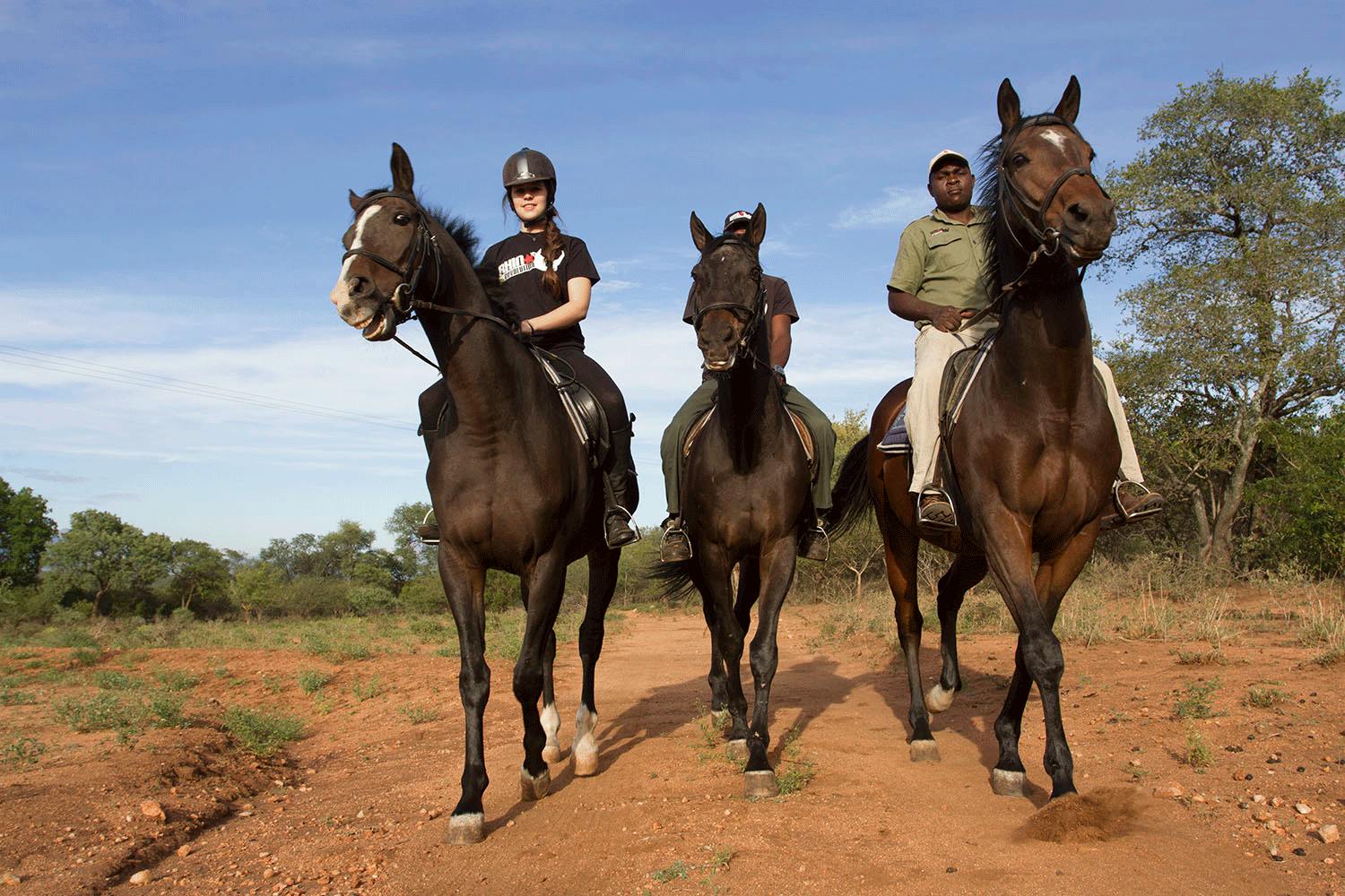 Hanchi horseback conservation