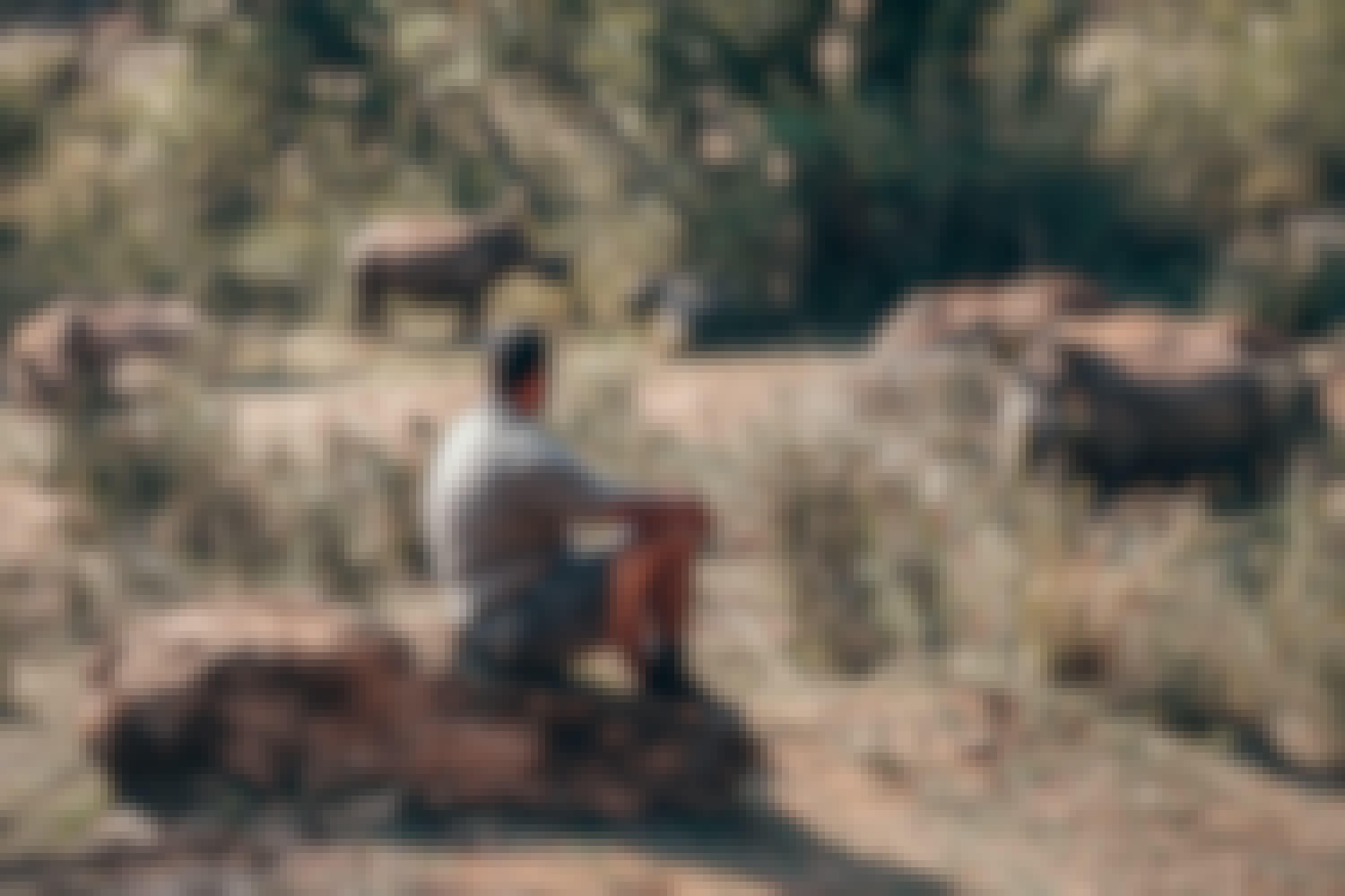 A man sitting on a rock observing Rhino in the wild