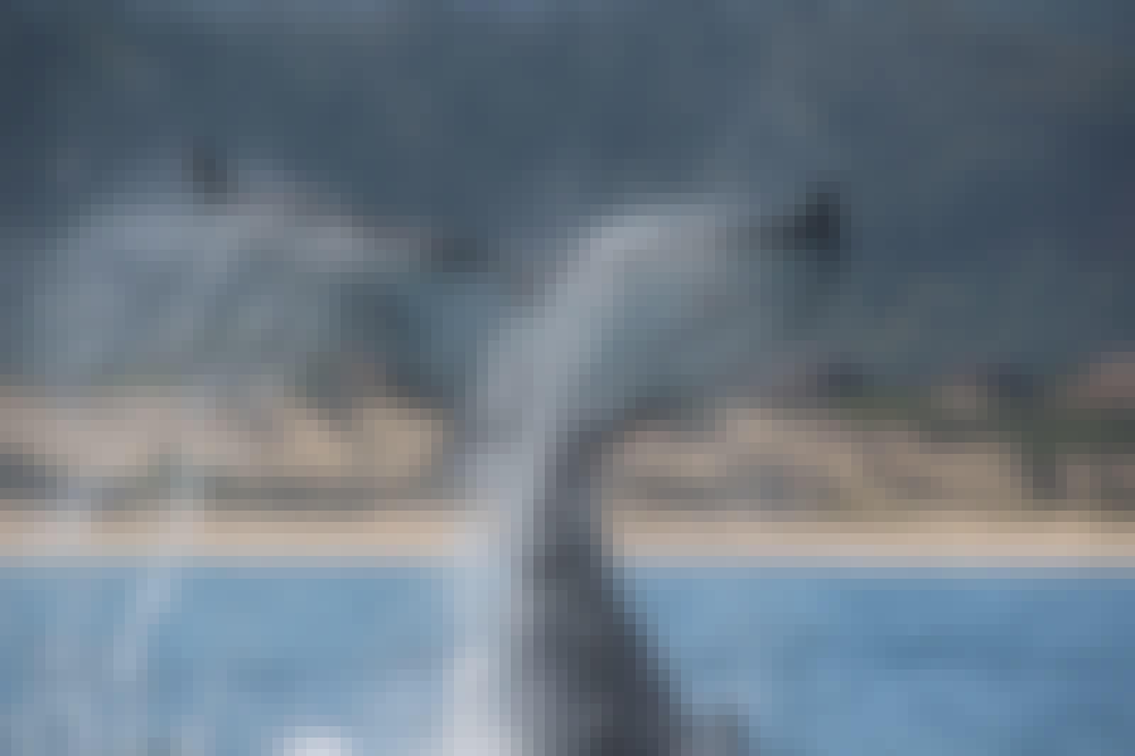 A whale tail after a breach at ACE marine conservation project in Africa