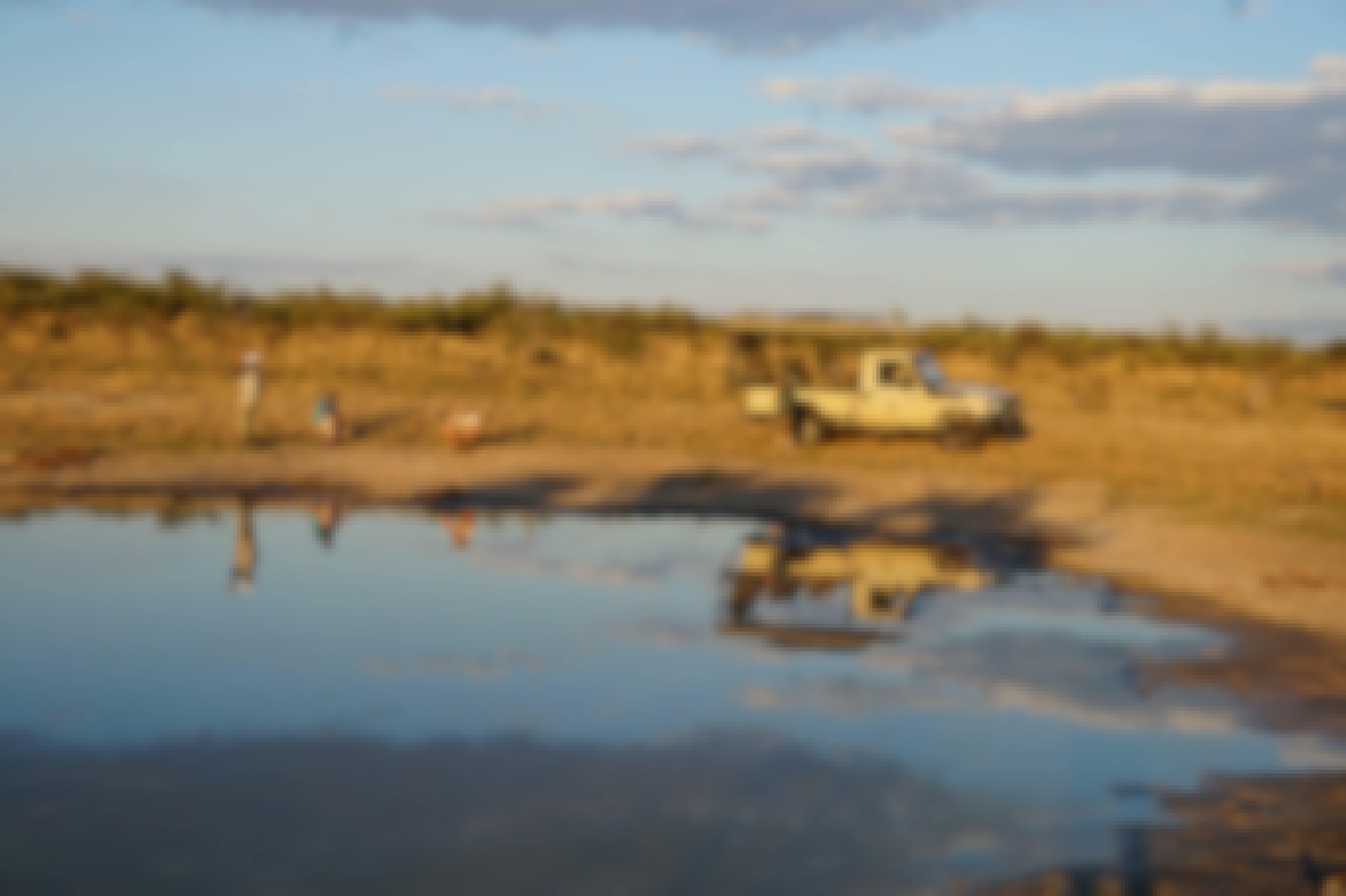 Tracking in the Okavango delta