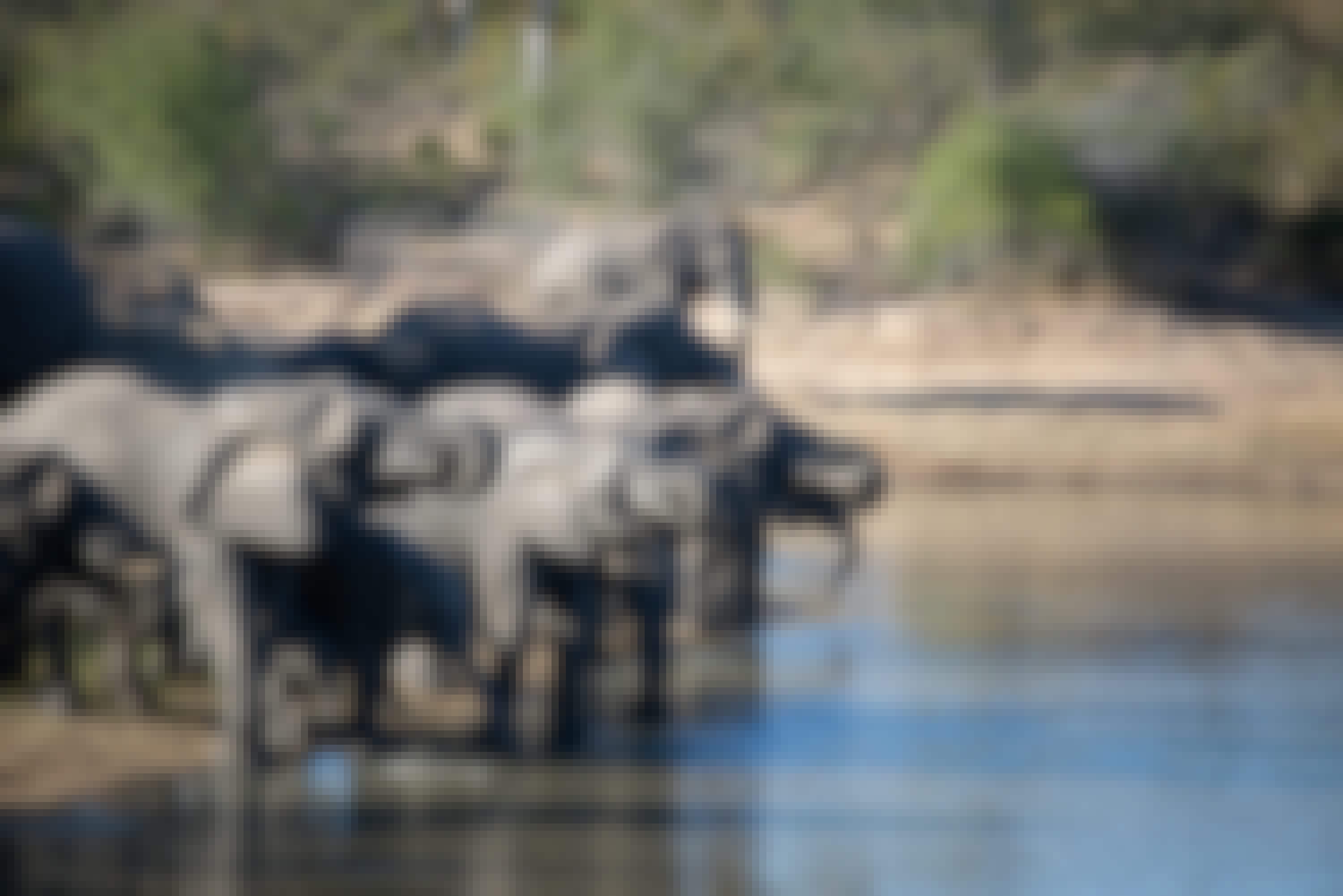 A herd of elephants drink and bathe at a watering hole in the Kruger national park