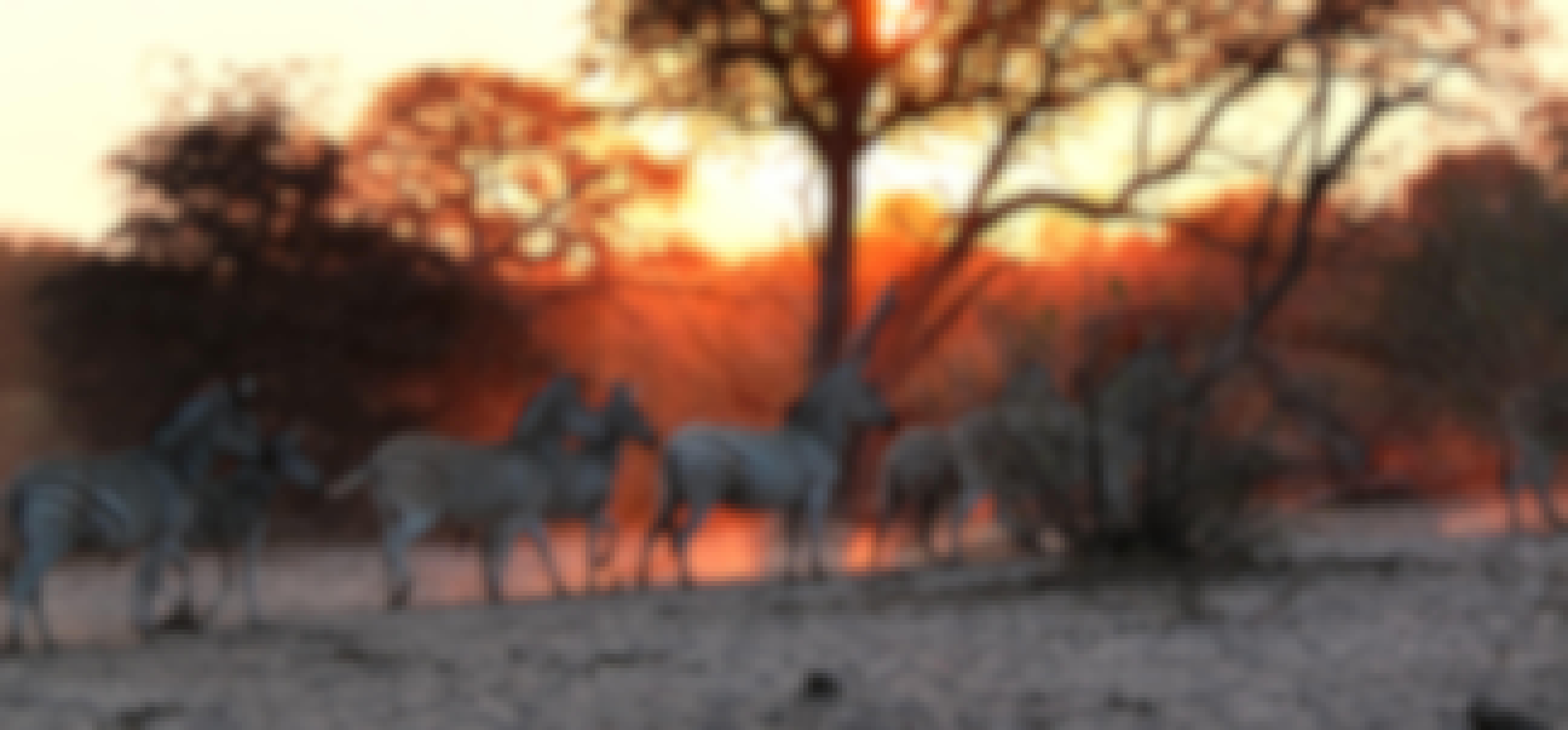 Zebra gallop through the African bush at sunset