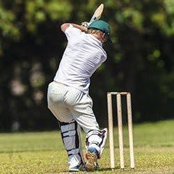 Cricket