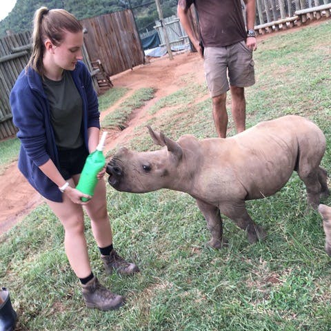 Leigh Haywood with a young rhino