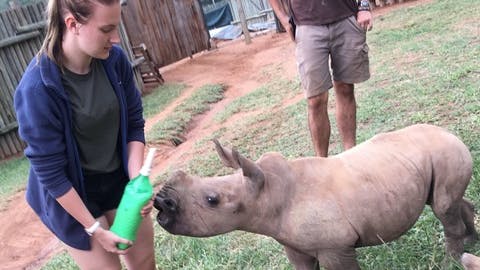 Leigh Haywood with a young rhino