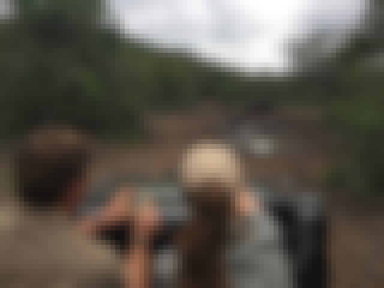 Rhino monitoring from a jeep