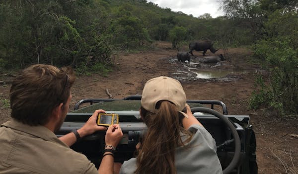 Rhino monitoring from a jeep