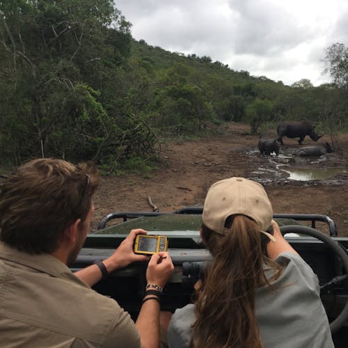 Rhino monitoring from a jeep