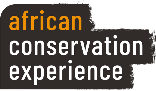 African Conservation Experience Logo