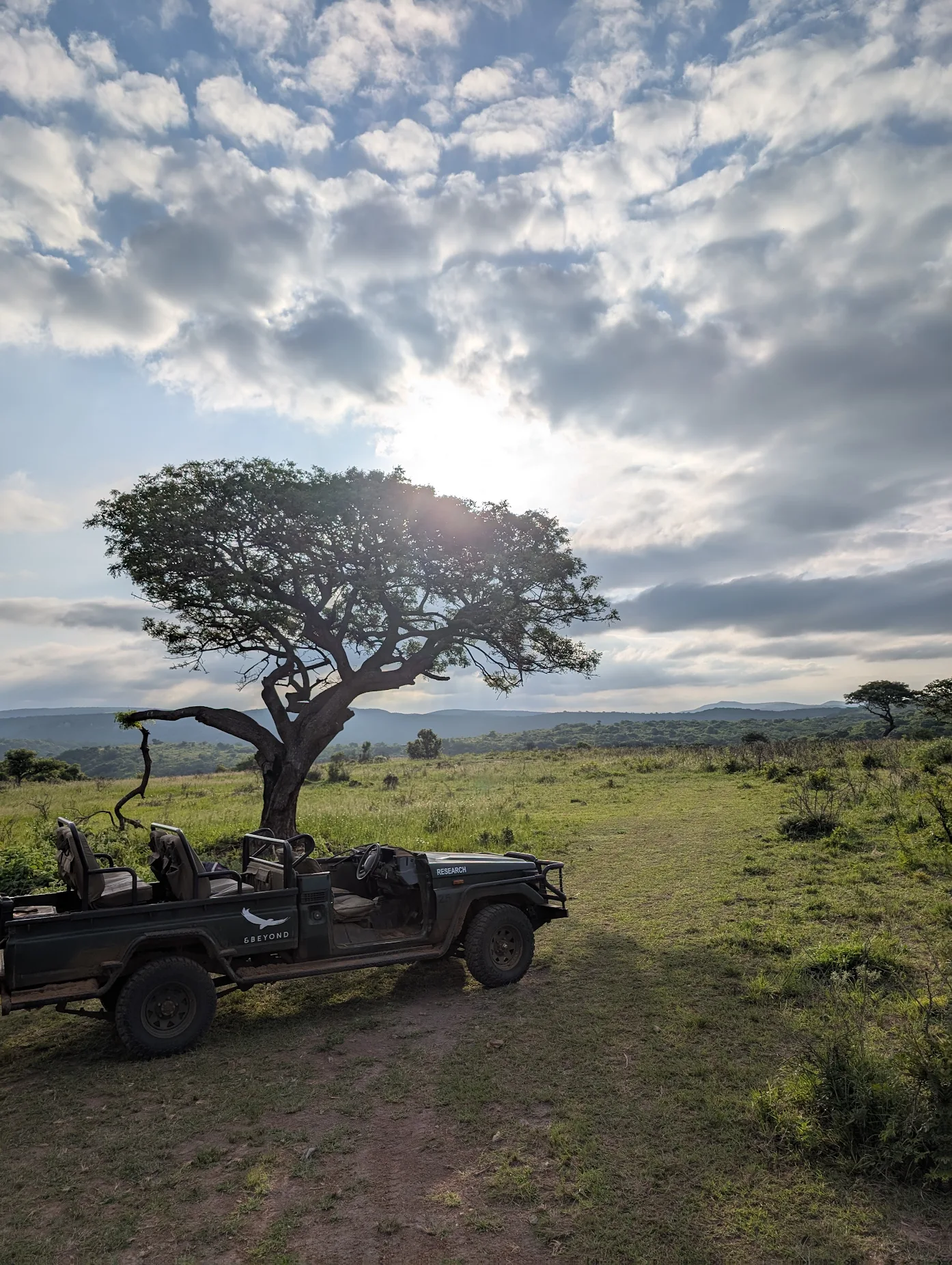 Kay Probst: Phinda research vehicle against a tree with the sun in the background