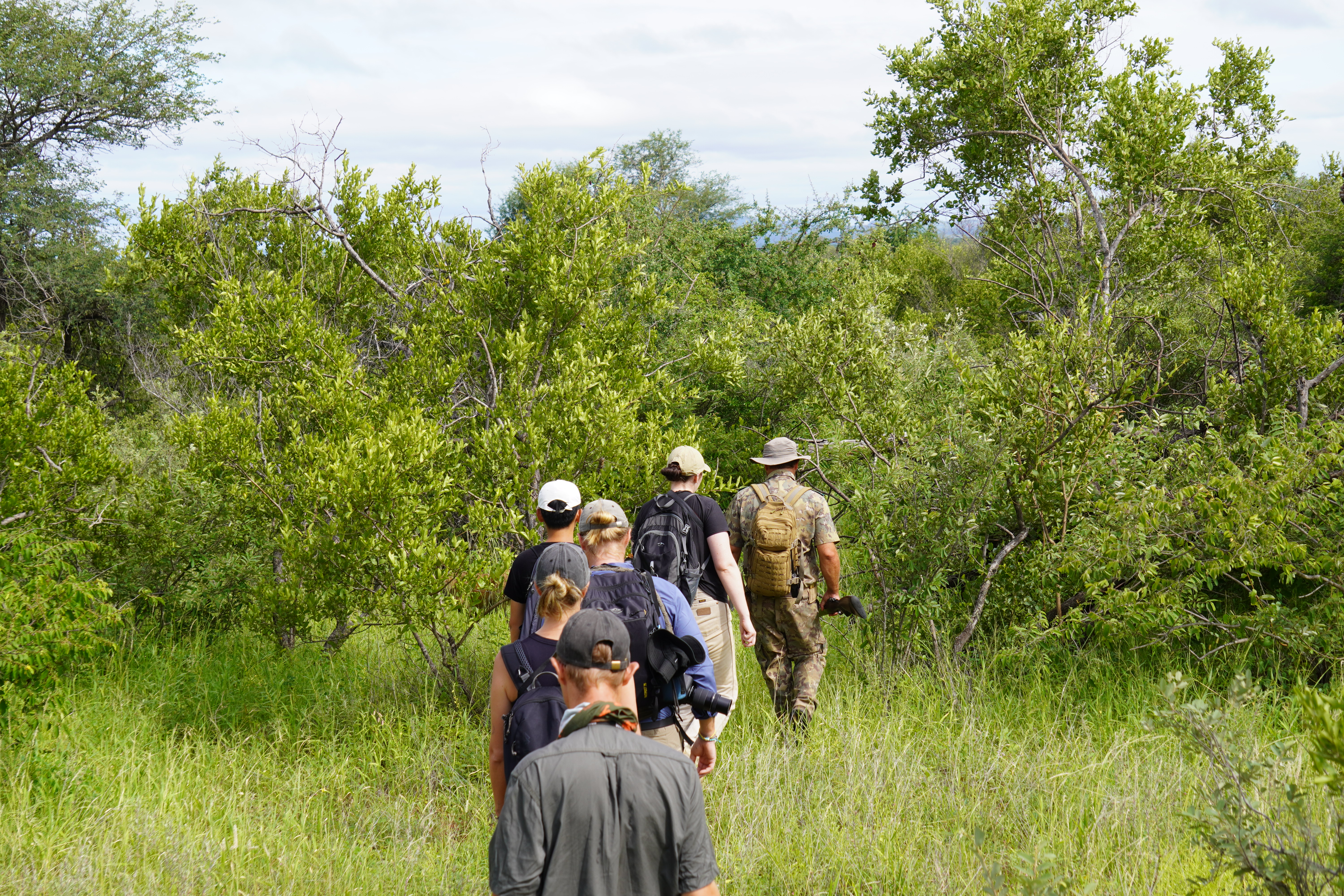 Tyler Neufeld: group of volunteers hiking through the bush